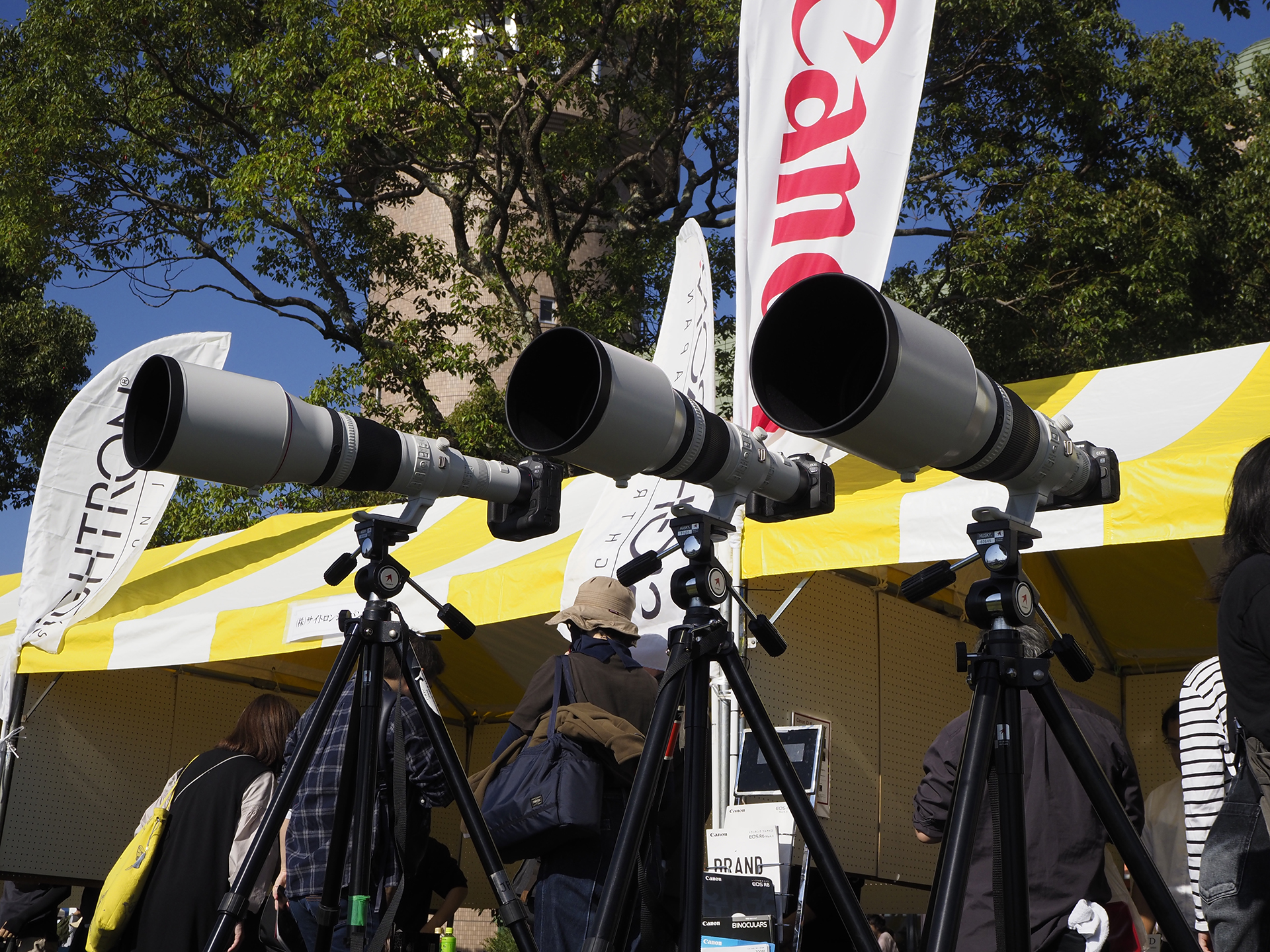 「RF1200mm F8 L IS USM」「RF800mm F5.6 L IS USM」「RF600mm F4 L IS USM」などの超望遠レンズなども並ぶ