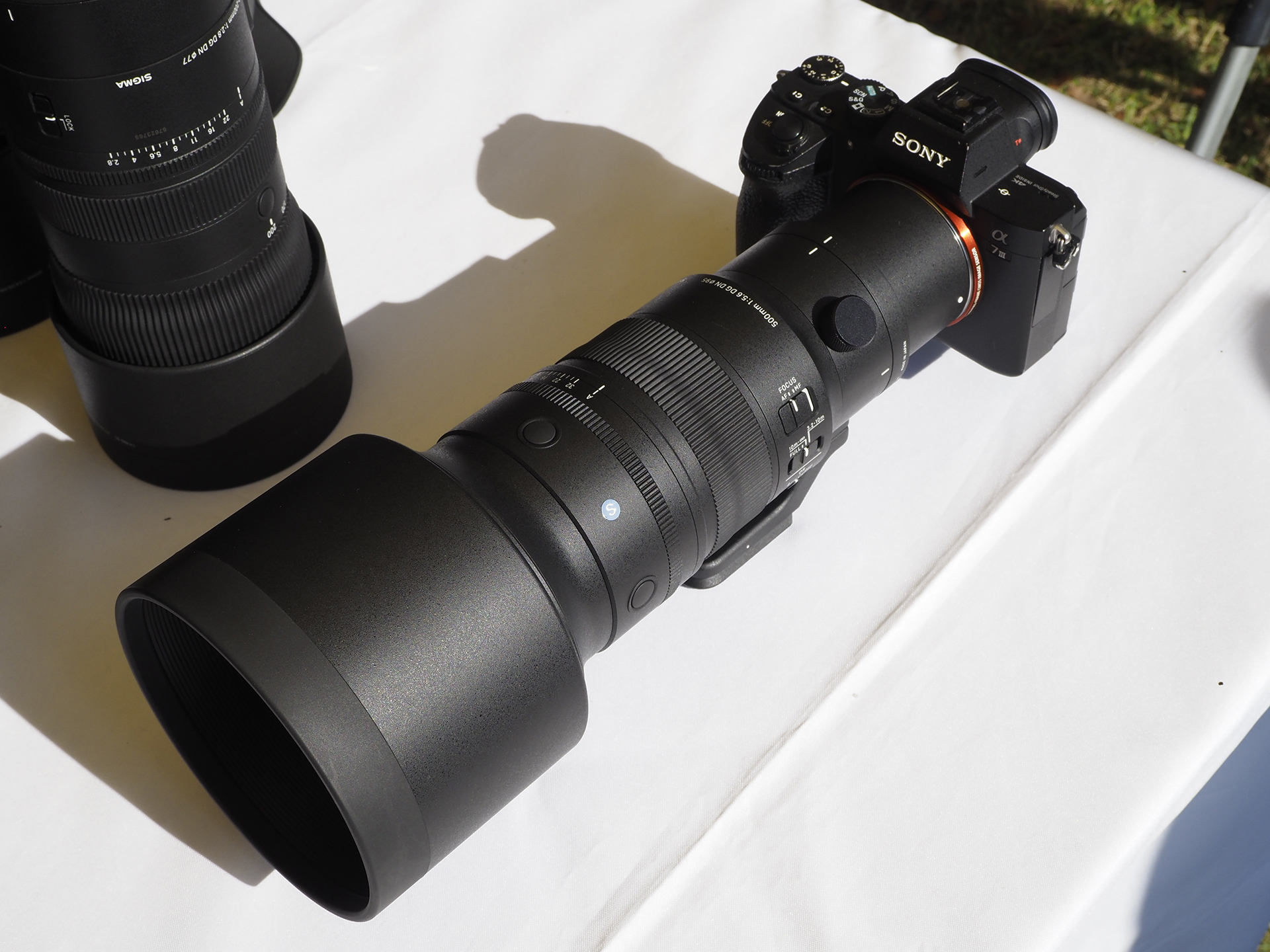 野鳥撮影にオススメという「SIGMA 500mm F5.6 DG DN OS｜Sports」