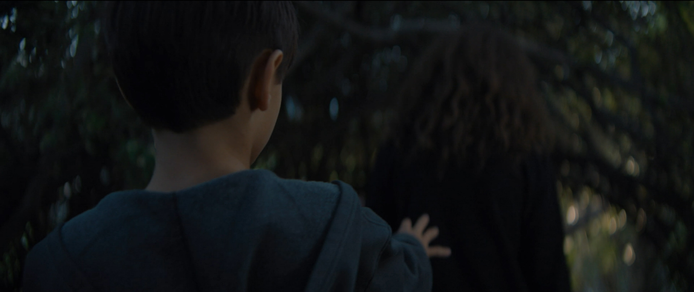 提供：株式会社サイトロンジャパン