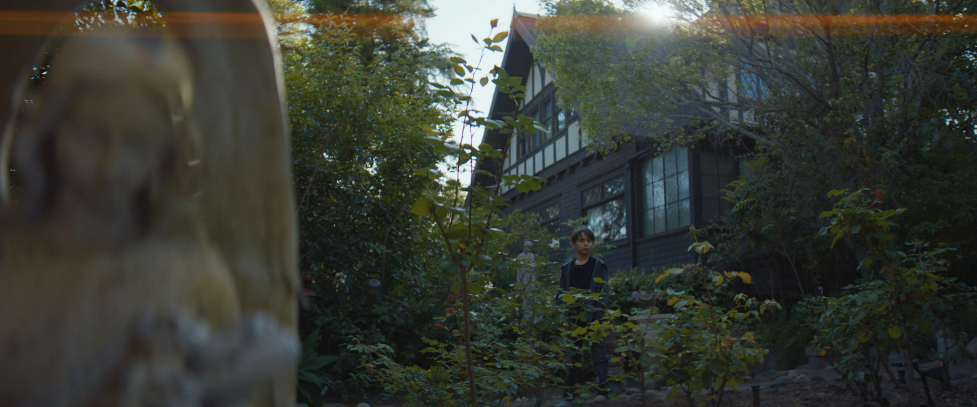 提供：株式会社サイトロンジャパン