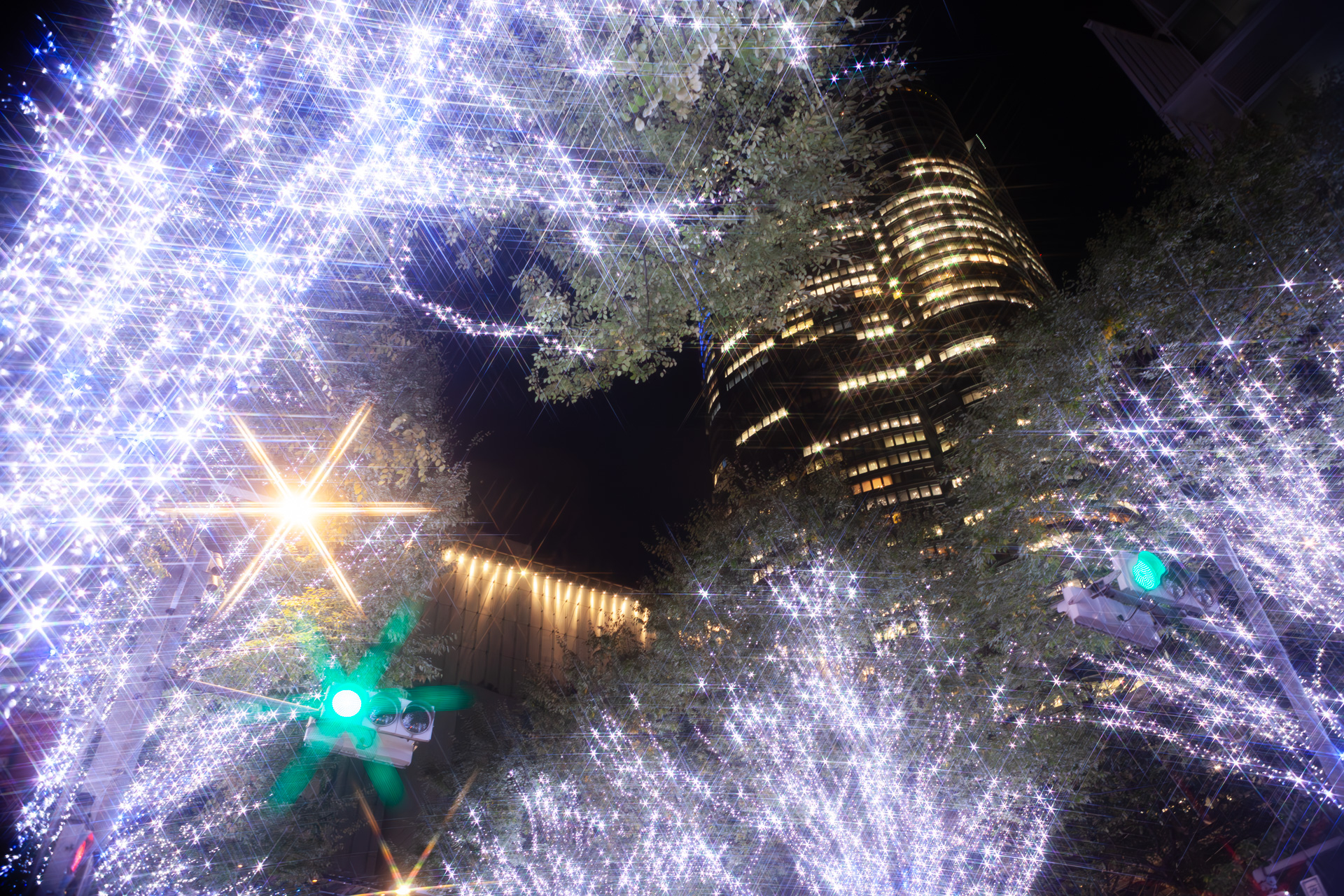 けやき坂の中程。六本木ヒルズの森タワーを臨む