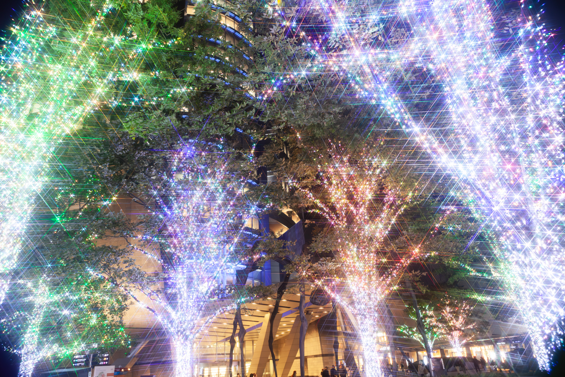 66プラザのイルミネーション