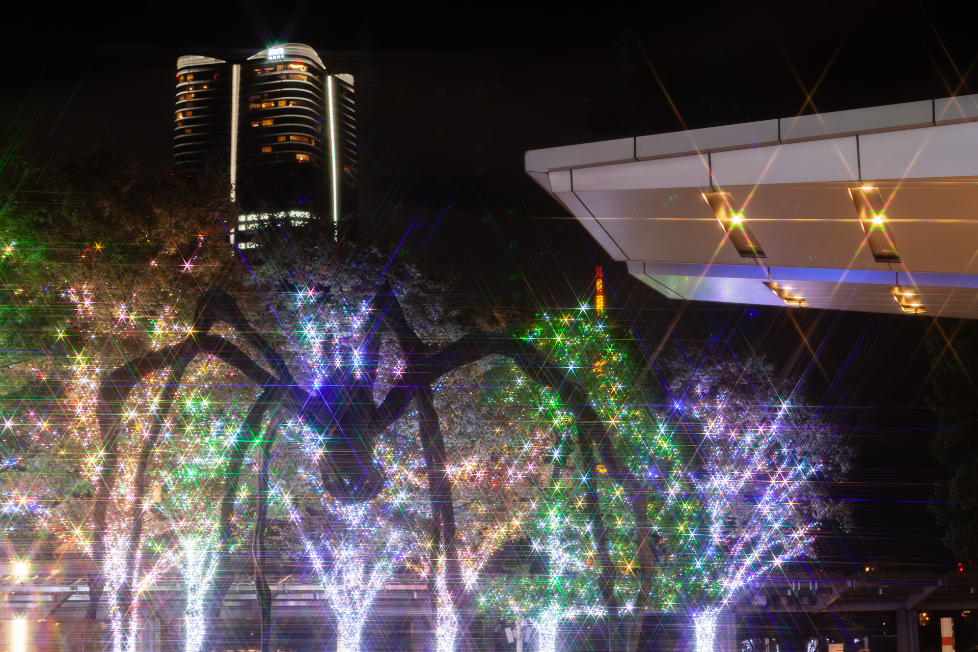 イルミネーションの前に有名なクモのオブジェ「ママン」が浮かび上がる。奥はJP森タワー