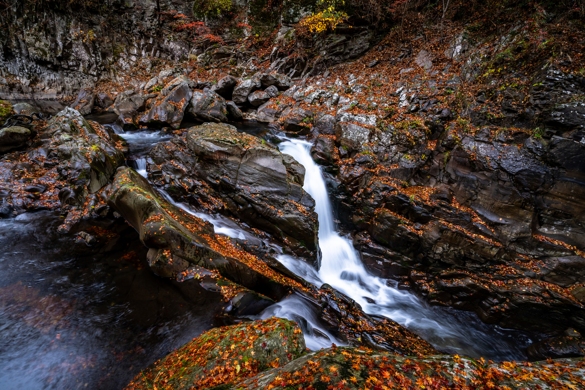 小雨が降る渓谷。落葉が岩場に彩りを添えている。三脚を岩場に立ててじっくりと構図を吟味し、上部に紅葉を配置した。1/2秒のスローシャッターで水の流れを描き、全体をまとめている<br><span class="fnt-85">ソニー α7R IV／FE 16-35mm F2.8 GM／16mm／マニュアル露出（F16、１/2秒）／ISO 80／WB：太陽光</span>