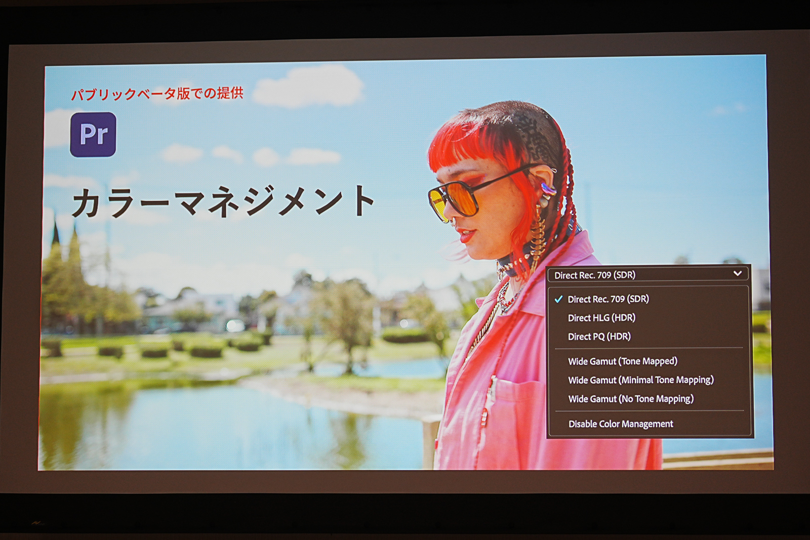 カラーマネジメント機能では、映像の色空間を変換できるように
