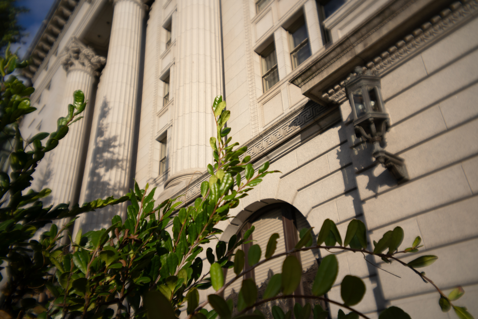 光線漏れ：なし