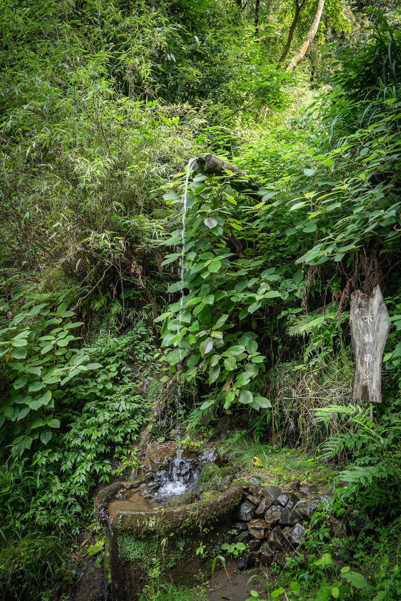 森の中から引いてくるような湧水では飲用に不適なものが流れ込んでいる可能性もあります。しっかり管理されている場所も多いので湧水の全てが当てはまるわけではありません