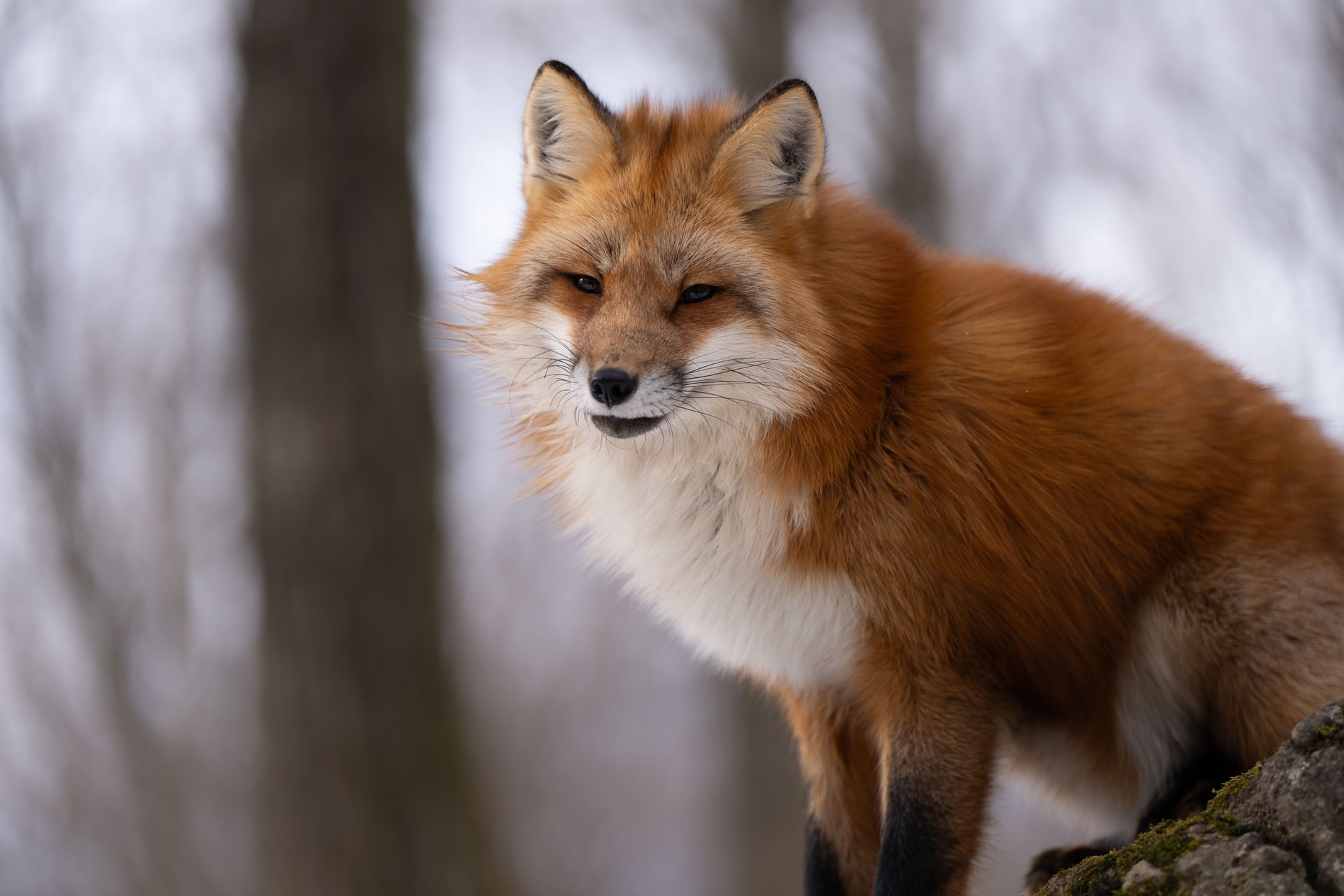 <span class="fnt-85">ソニー α7R V／138mm／絞り優先AE（F2.8、1/640秒、±0EV）／ISO 100／WB：オート</span>