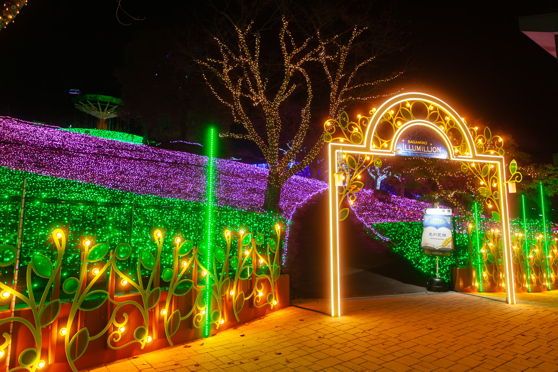 こちらは光の花畑。奥は青色の電飾になっている