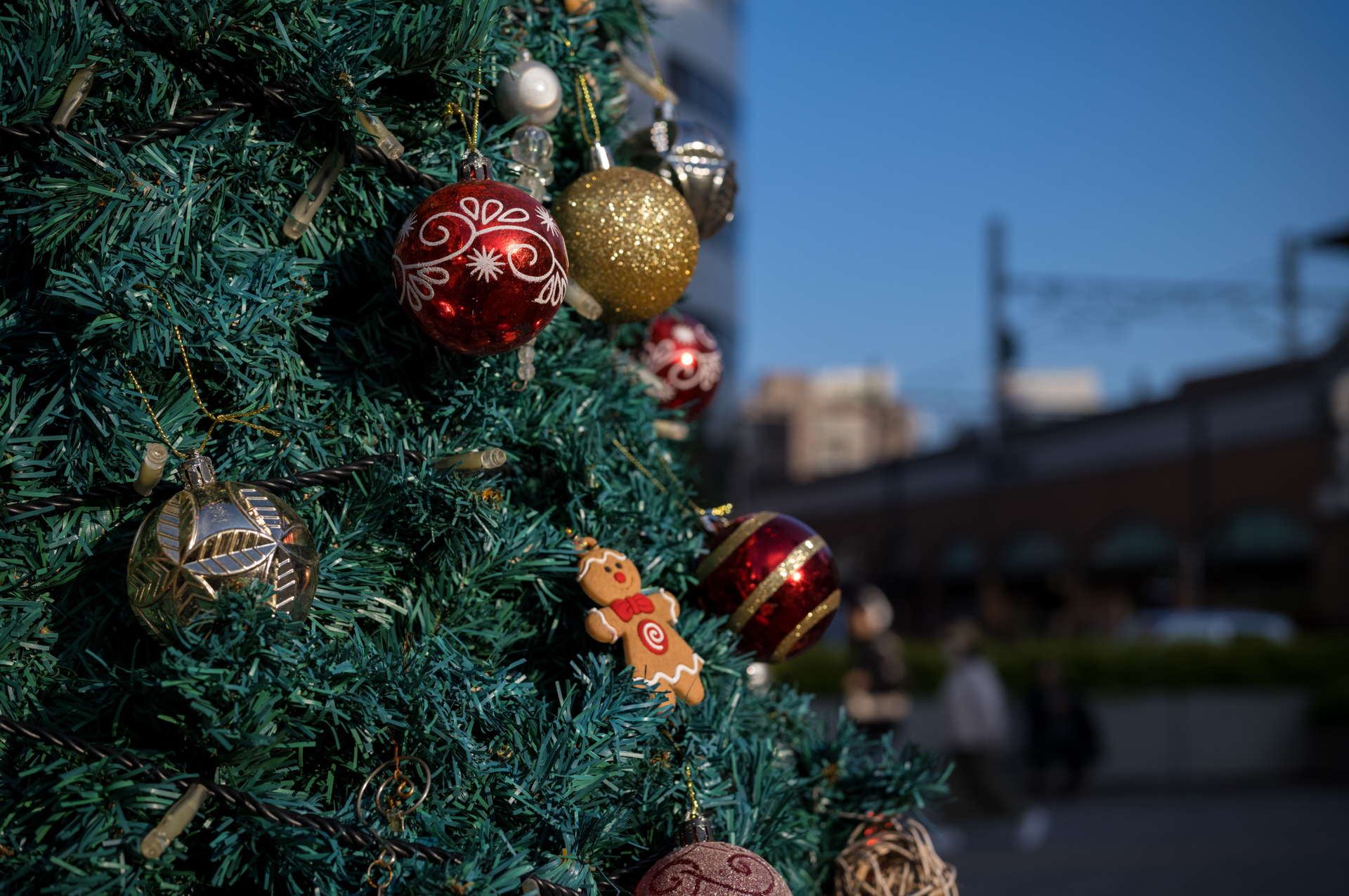 クリスマスプレゼントは本レンズがいいなあとひとりごちてしまいました。ボケの感じも途中で破綻することなくなだらかですぜ。<br><span class="fnt-85">ライカM11-P／APO-LANTHAR 50mm F3.5 VM／マニュアル露出（1/2,000秒、F4.0、±0.0EV）／ISO 400</span>