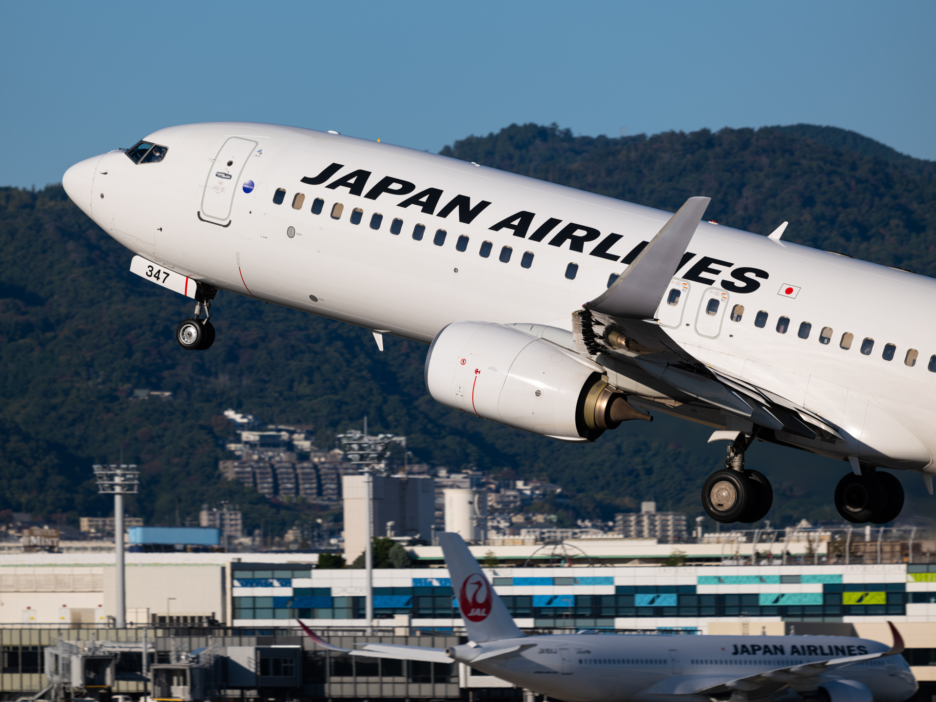 富士フイルム GFX100S II／GF500mmF5.6 R LM OIS WR／500mm（396mm相当）／マニュアル露出（1/1,250秒、F7.1）／ISO 200