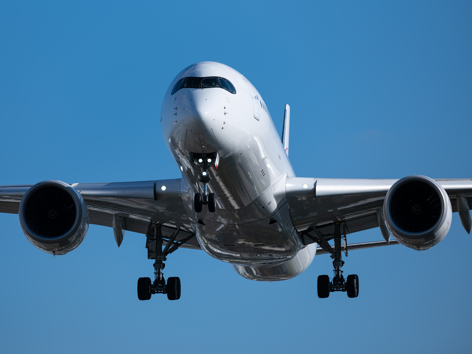 富士フイルム GFX100S II／GF500mmF5.6 R LM OIS WR／500mm（396mm相当）／マニュアル露出（1/1,250秒、F7.1）／ISO 200