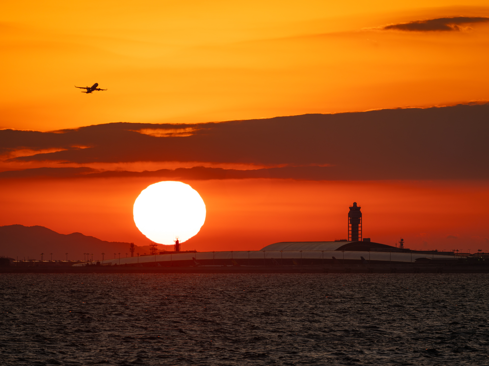 富士フイルム GFX100S II／GF55mmF1.7 R WR＋GF1.4X TC WR（554mm相当）／マニュアル露出（1/800秒、F8.0）／ISO 200