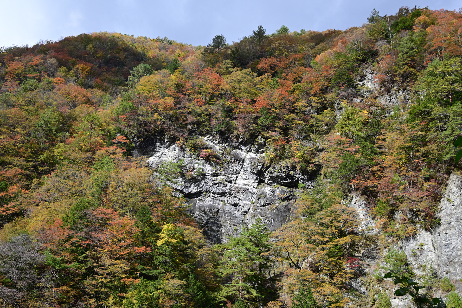 Z50II／NIKKOR Z DX 16-50mm f/3.5-6.3 VR／27.5mm（41mm相当）／絞り優先AE（1/400秒、F4.5）／ISO 100／WB：オート