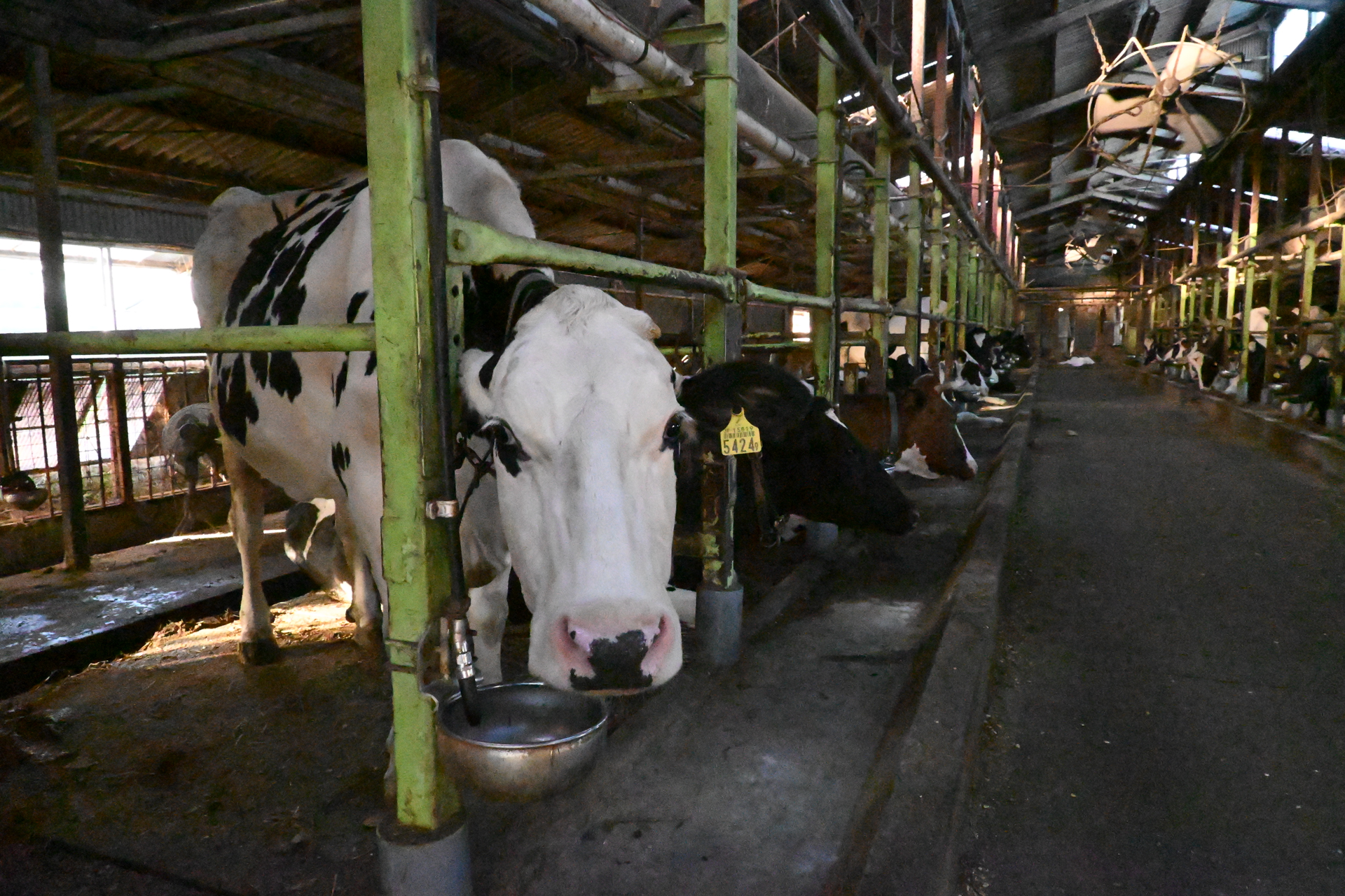 Z50II／NIKKOR Z DX 16-50mm f/3.5-6.3 VR／16mm（24mm相当）／絞り優先AE（1/640秒、F8.0）／ISO 51200／WB：オート