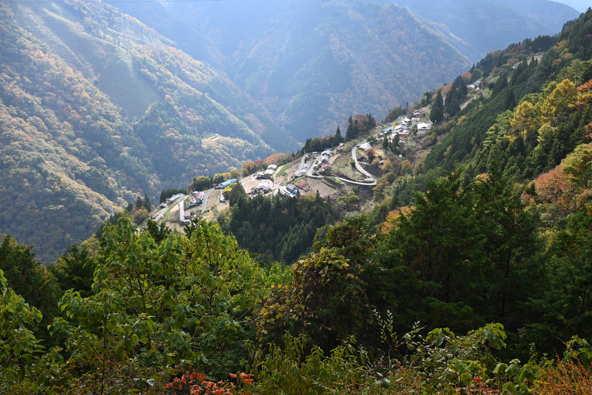 Z50II／NIKKOR Z DX 16-50mm f/3.5-6.3 VR／24mm（36mm相当）／絞り優先AE（1/60秒、F5.6、－0.3EV）／ISO 100／WB：オート