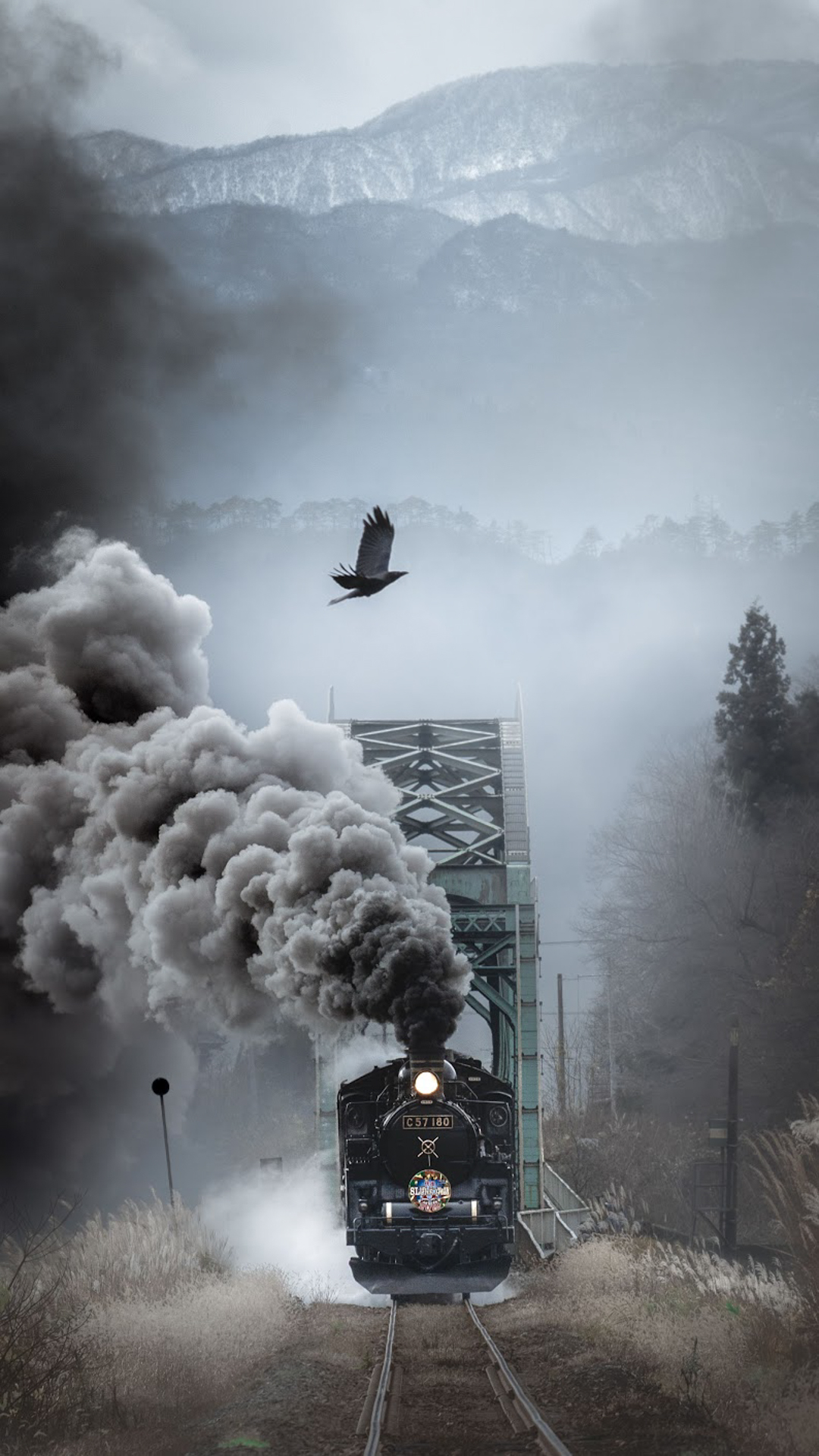 東京カメラ部 10選 2020 選出作品<br>撮影：Kogame