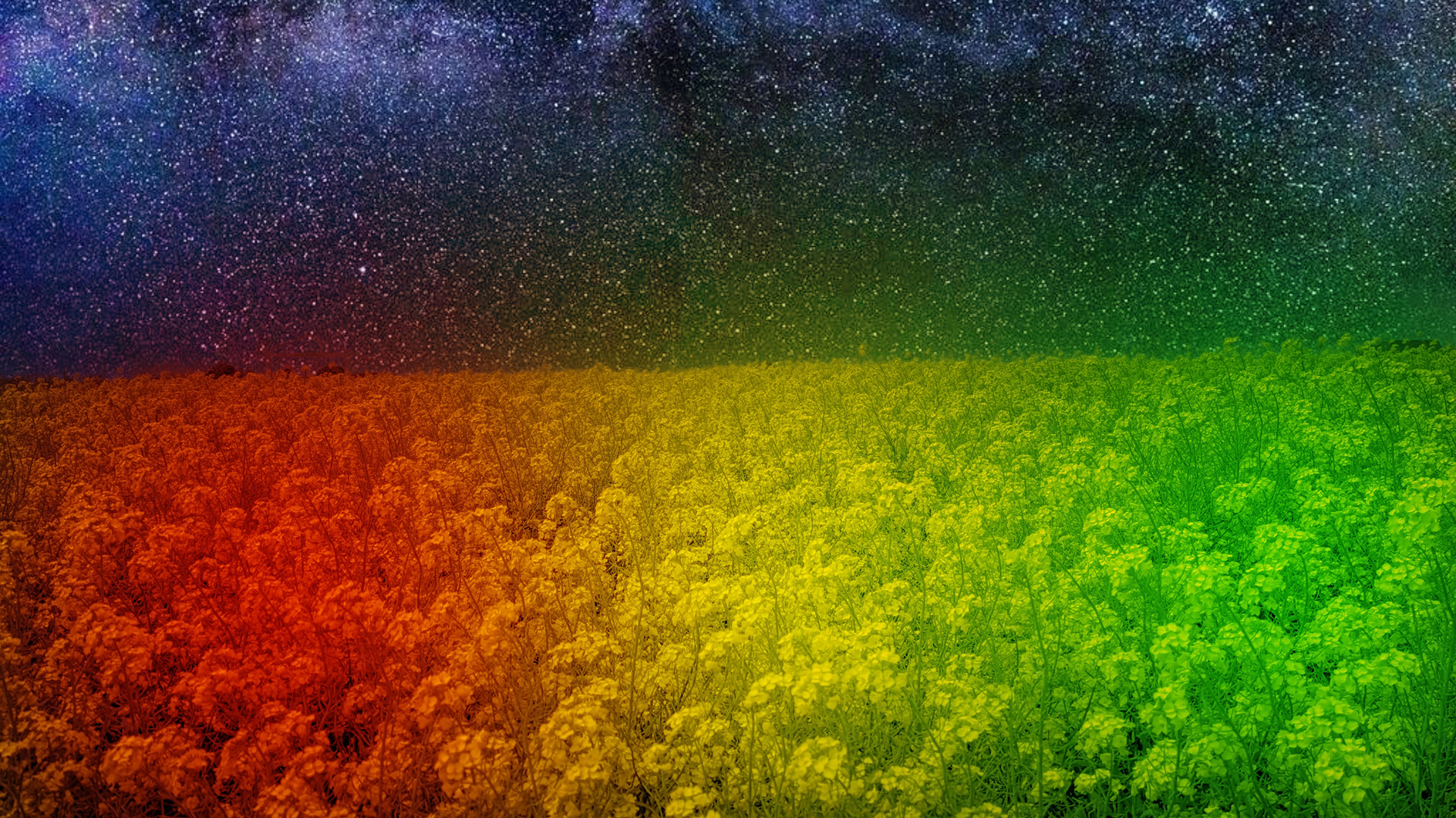 ソレイユの丘 ナノハナイルミネーション（イメージ）