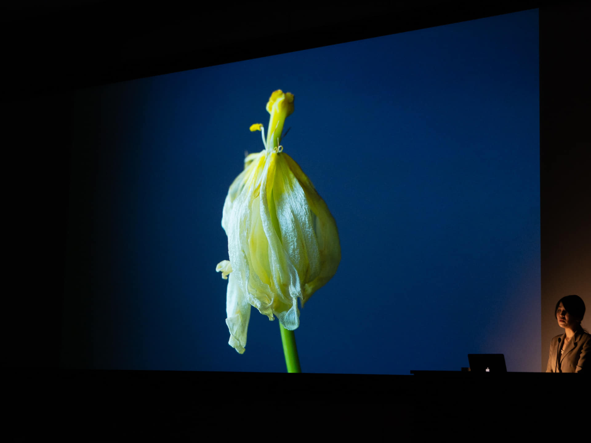 「物質の存在と時間」をテーマに写真のみを素材とした映像作品。展示では親子3代にわたる自身の家族を被写体にしたいという