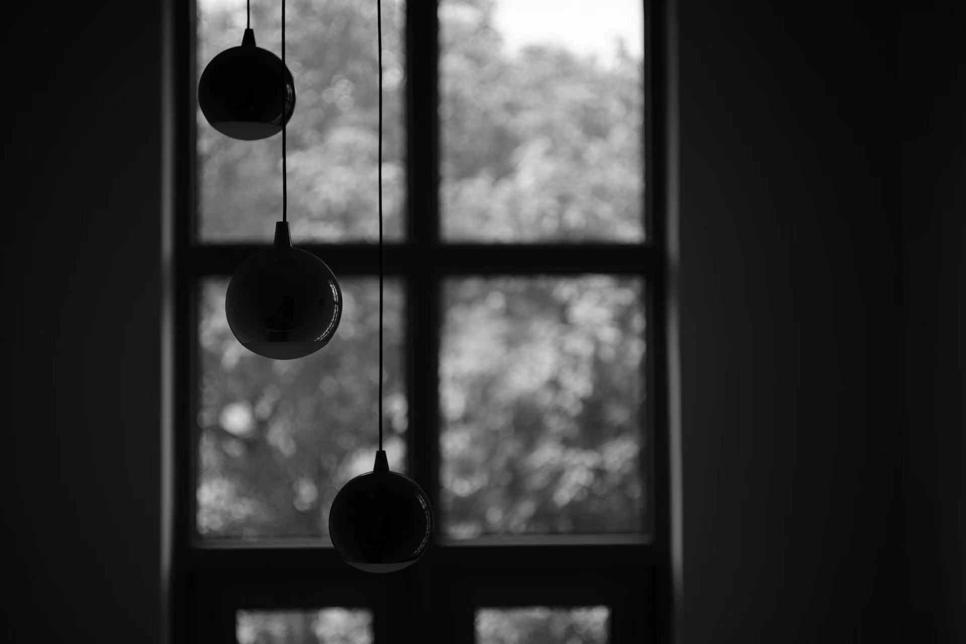 撮影イメージ（提供：焦点工房）以下同