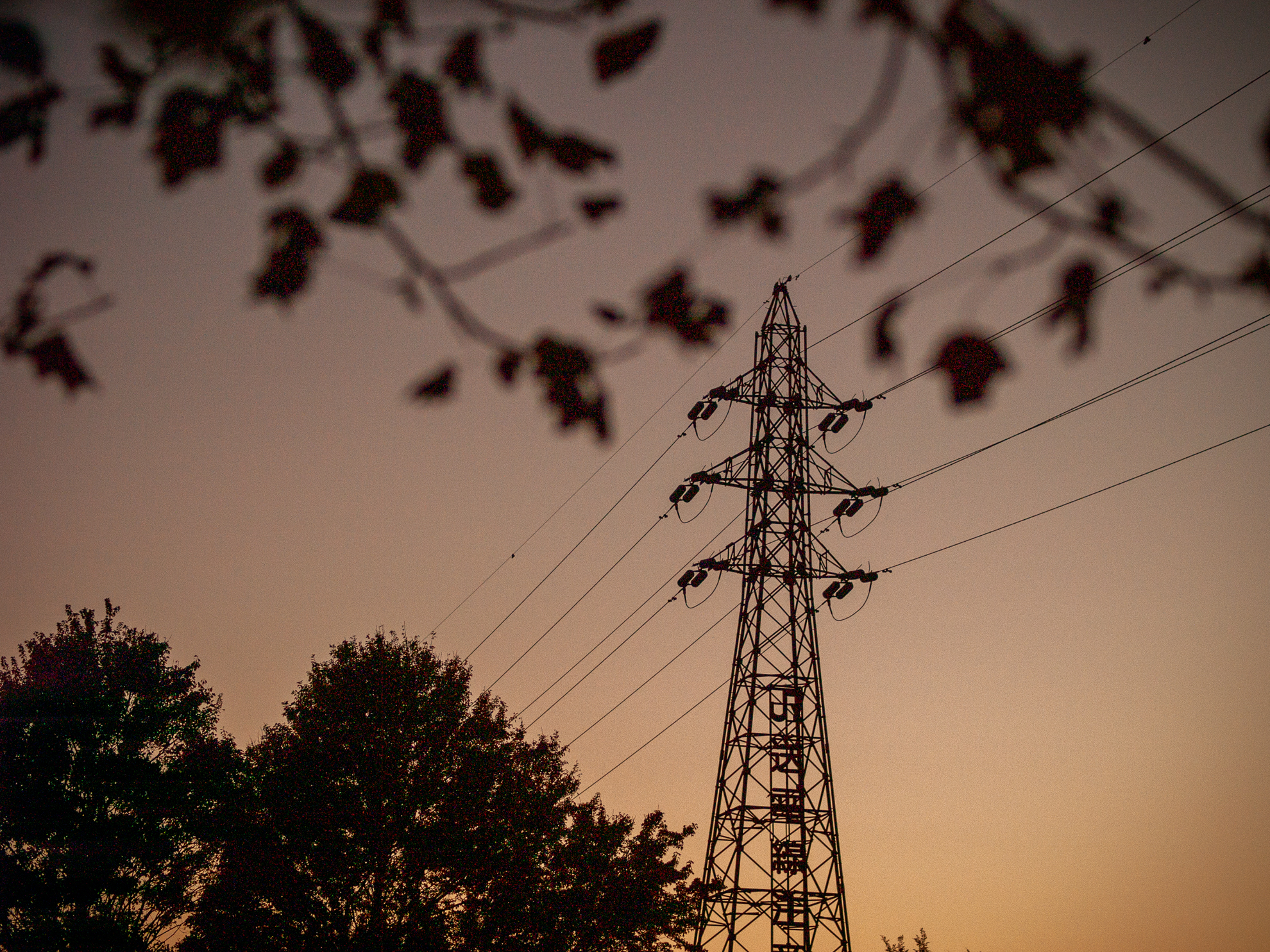 夕暮れですが、あまりキレーじゃないですね。色を盛ってしまえばいいのですが、いちおうレビューのつもりなのでそのままで。<br><span class="fnt-85">オリンパス E-400／ZUIKO DIGITAL ED 50mm F2.0 Macro／50mm（100mm相当）／絞り優先AE（1/1,600秒、F2.0、−0.7EV）／ISO 400</span>