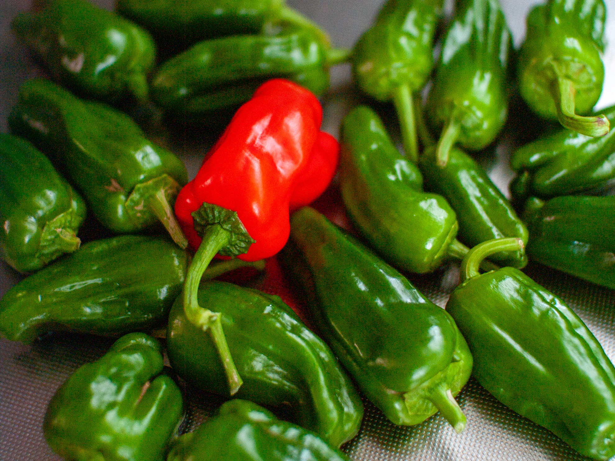 感度はISO 1000でシャドーのノイズはそれなりにありますが、実用上は問題のない画質です。手ブレ補正が内蔵されていれば、あまり感度を上げずに撮れるんですが。<br><span class="fnt-85">オリンパス E-400／シグマ 30mm F1.4 EX DC HSM／30mm（60mm相当）／プログラムAE（1/160秒、F1.8、−0.7EV）／ISO 1000</span>