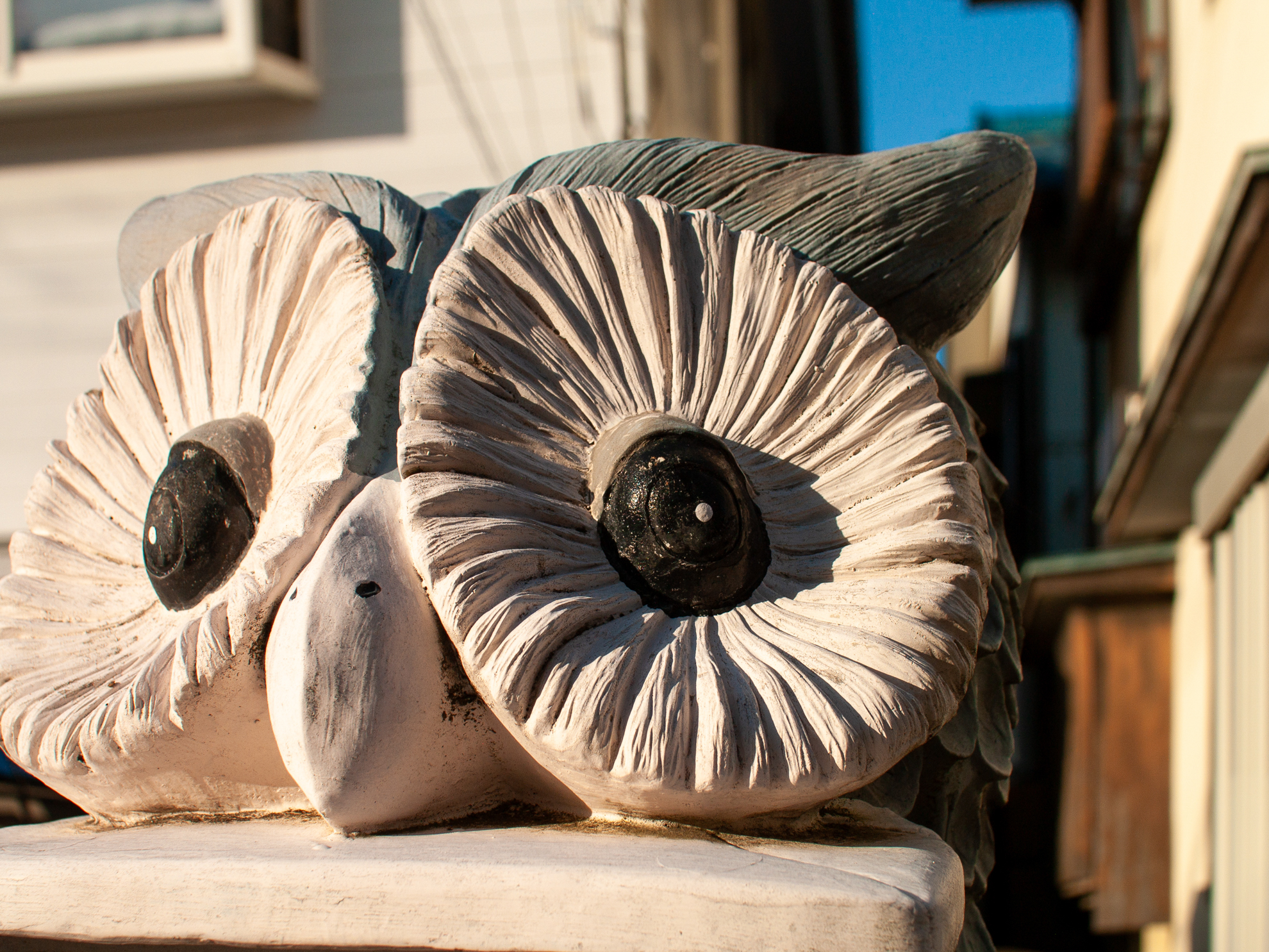 レンズ性能が優秀なのか、画像の形成がいいのか、両方が協力しているのか。優れた画質です。ハマればハマる状況だったのかも。<br><span class="fnt-85">オリンパス E-400／シグマ 30mm F1.4 EX DC HSM／30mm（60mm相当）／プログラムAE（1/800秒、F5.0、−0.7EV）／ISO 100</span>