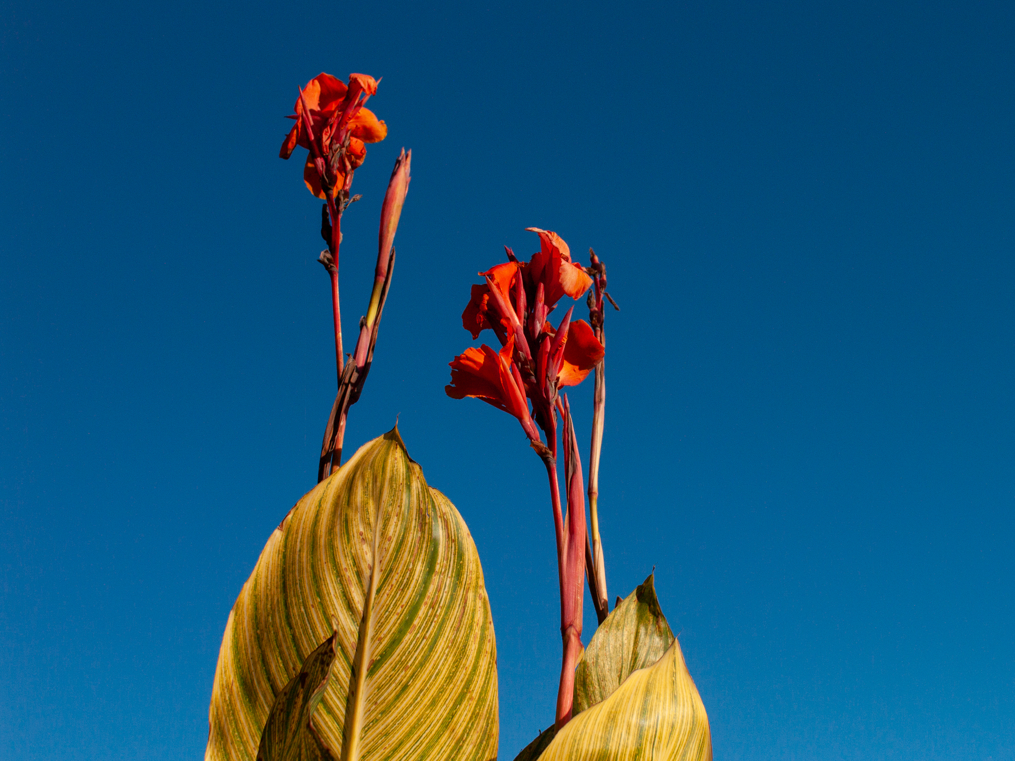これも深みのあるオリンパスブルーといえばそうなんですが、むしろコントラストの高さが引き立てましたね。<br><span class="fnt-85">オリンパス E-400／シグマ 30mm F1.4 EX DC HSM／30mm（60mm相当）／プログラムAE（1/3,200秒、F4.0、−0.3EV）／ISO 400</span>