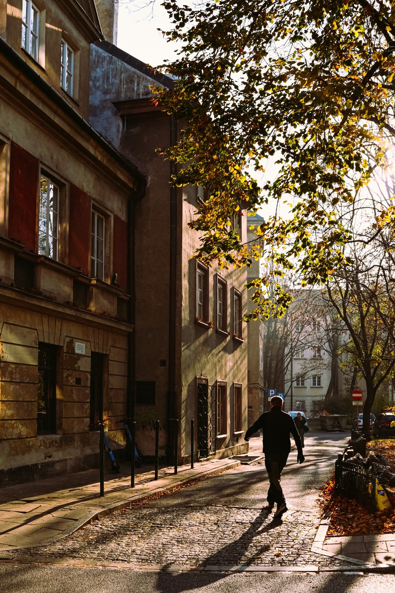 サンプル画像（提供：E&Iクリエイション株式会社）以下同