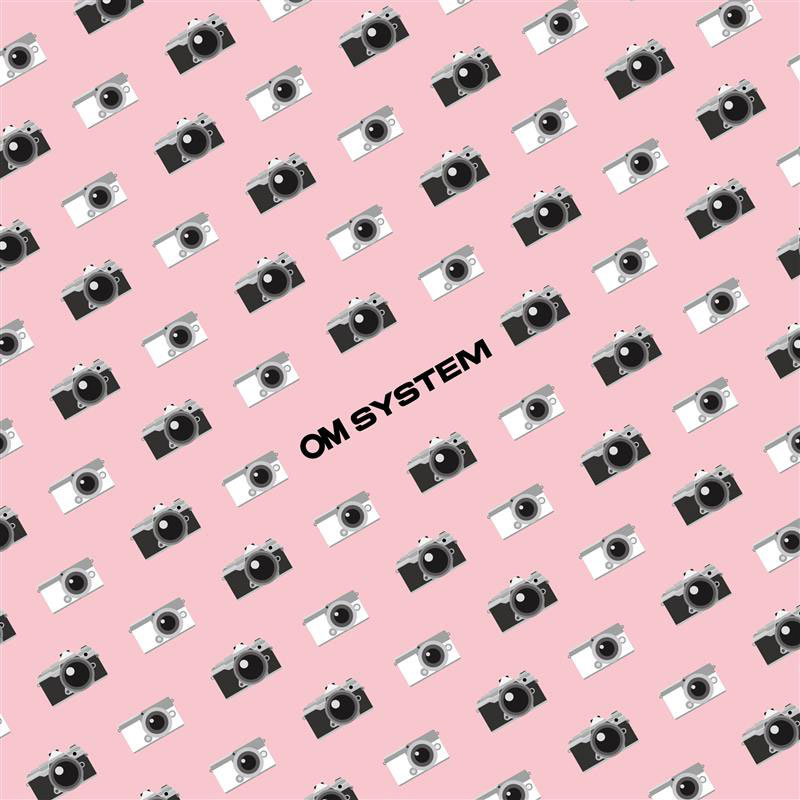 レンズクロス。ピンク、ブルーの2色で色指定は不可。大きさは15×15cm