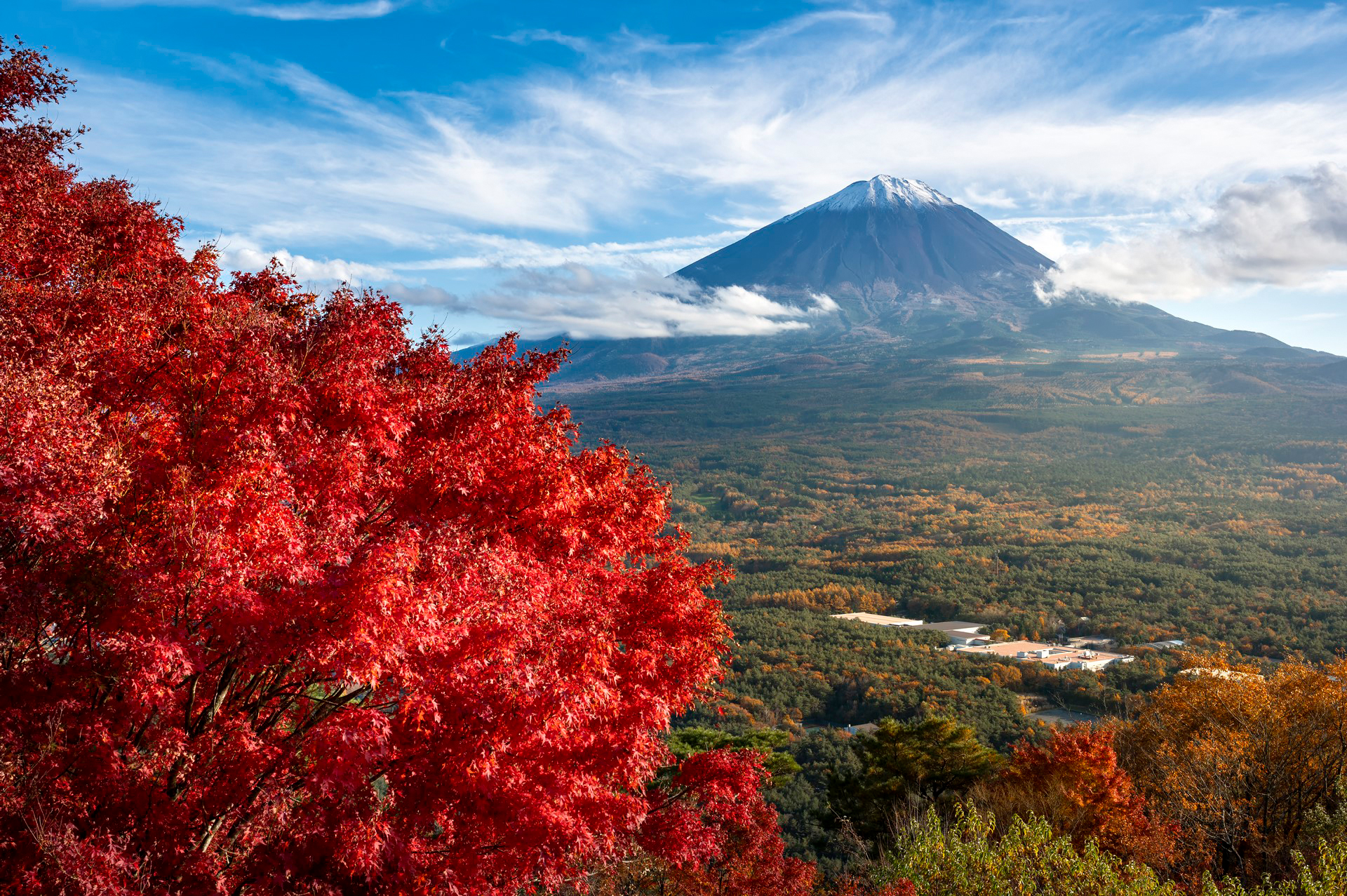 <span class="fnt-85">ニコン Z6／NIKKOR Z 24-70mm f/2.8 S／37mm／絞り優先AE（F11、1/100秒、－1.0EV）／ISO 100／WB：オート</span>