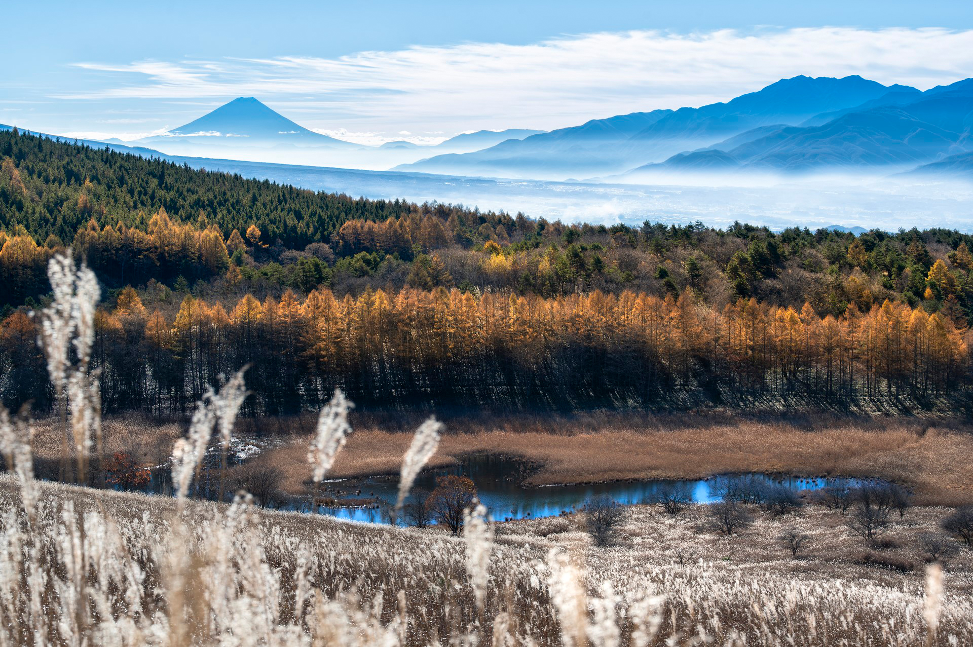 <span class="fnt-85">ニコン Z6／NIKKOR Z 70-200mm f/2.8 VR S／70mm／絞り優先AE（F9、1/500秒、－1.7EV）／ISO 100／WB：オート</span>