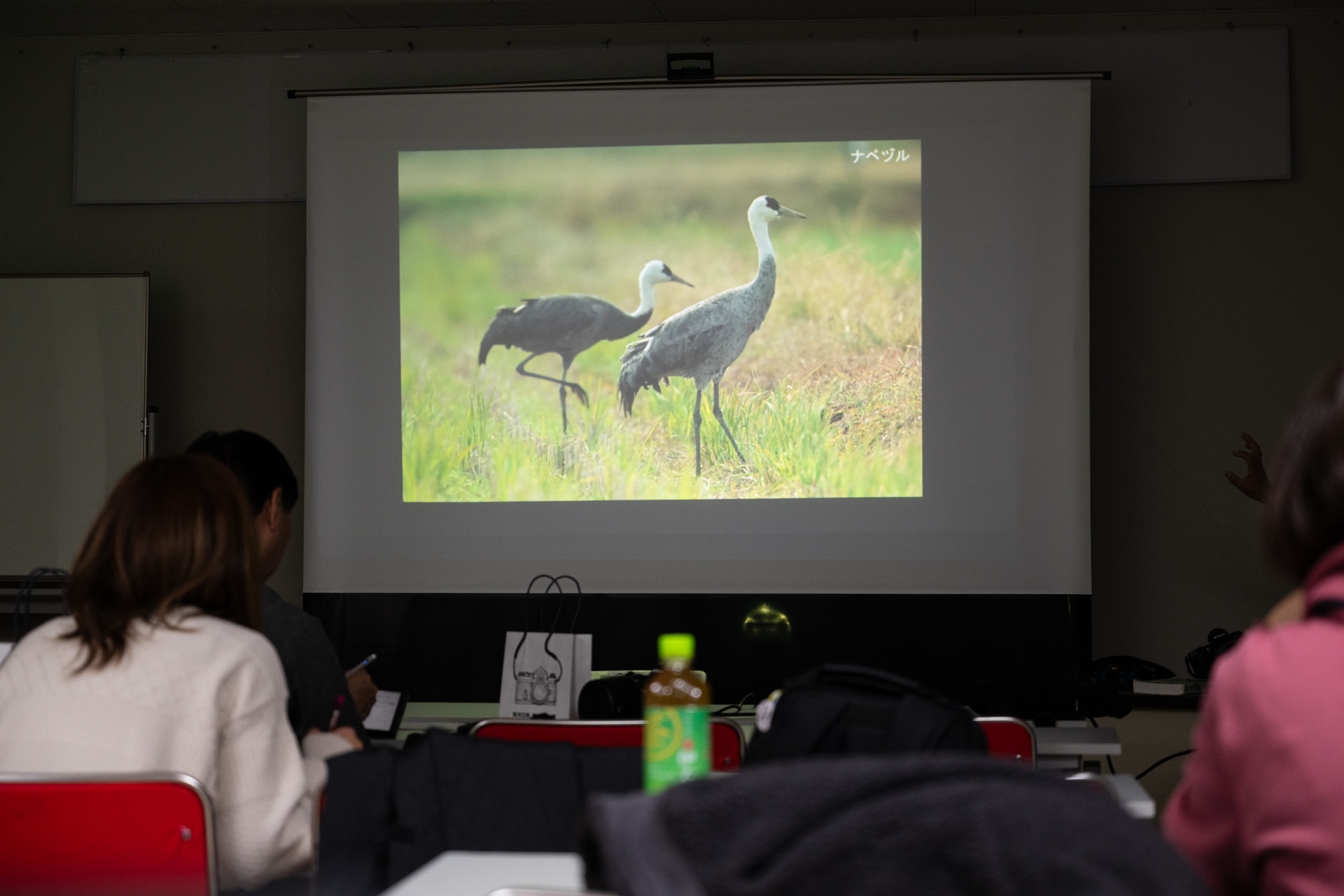 ツルの種類の解説も
