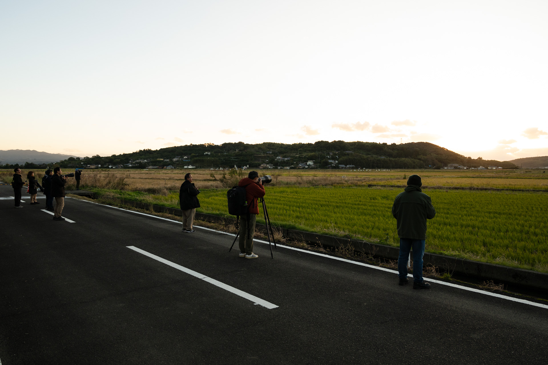 ツル観察センター横で撮影
