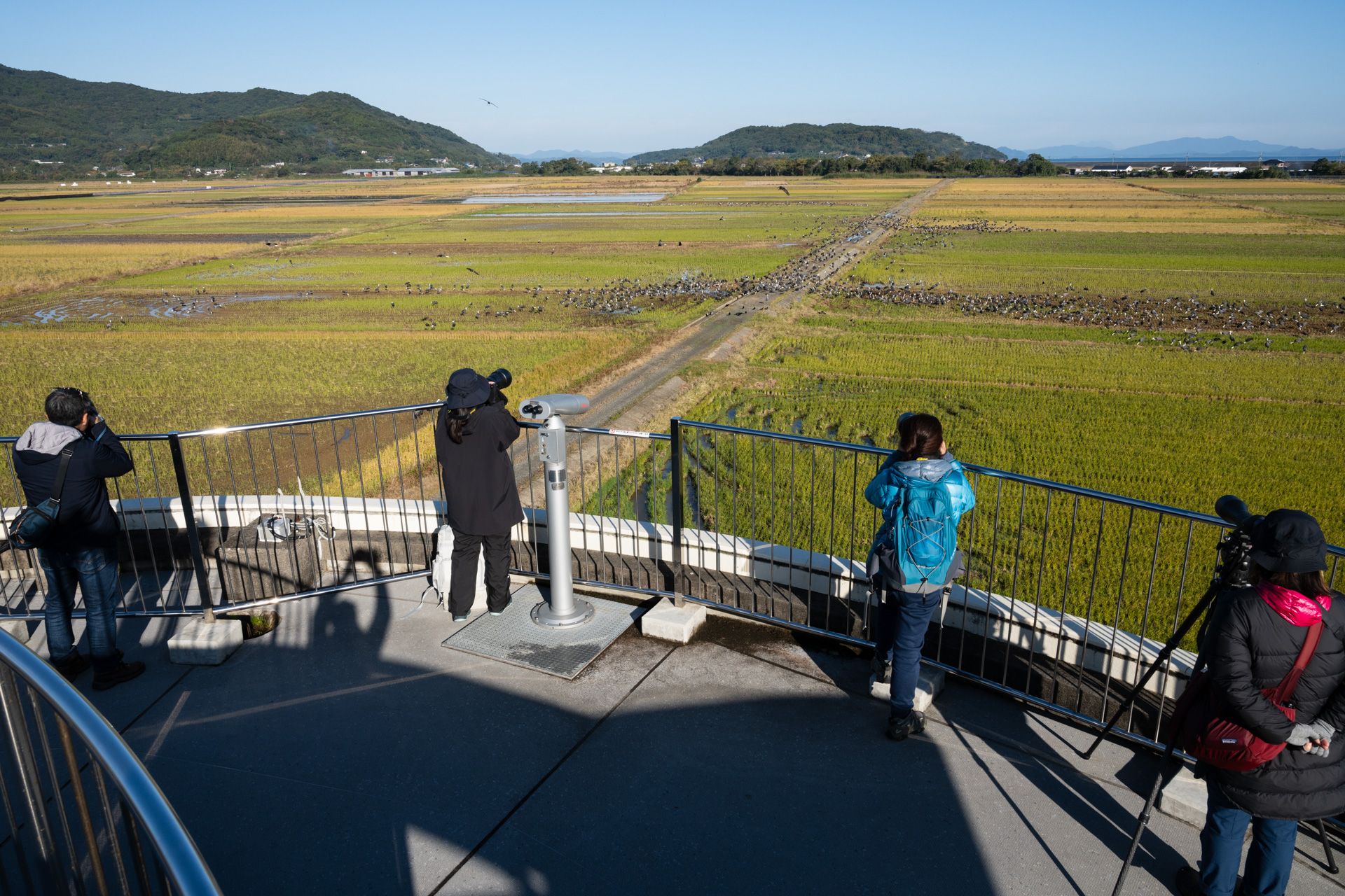 ツル観察センターの屋上