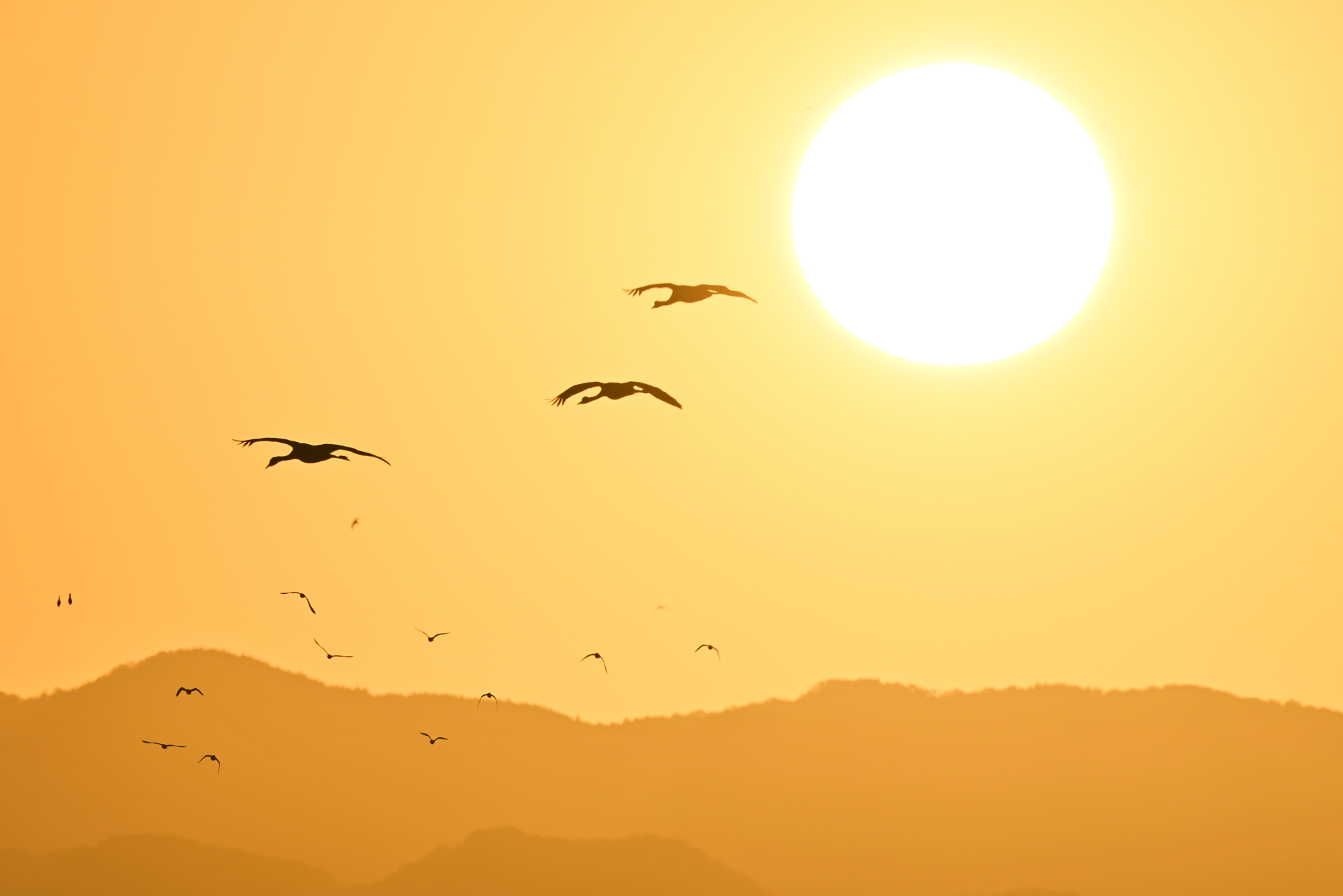 撮影：<a href="https://ganref.jp/m/asuranmama/portfolios">あすらんママ</a>さん<br><span class="fnt-85">ニコン Z8／NIKKOR Z 400mm f/2.8 TC VR S／840mm／マニュアル露出（1/1,600秒、F10）／ISO 100</span>