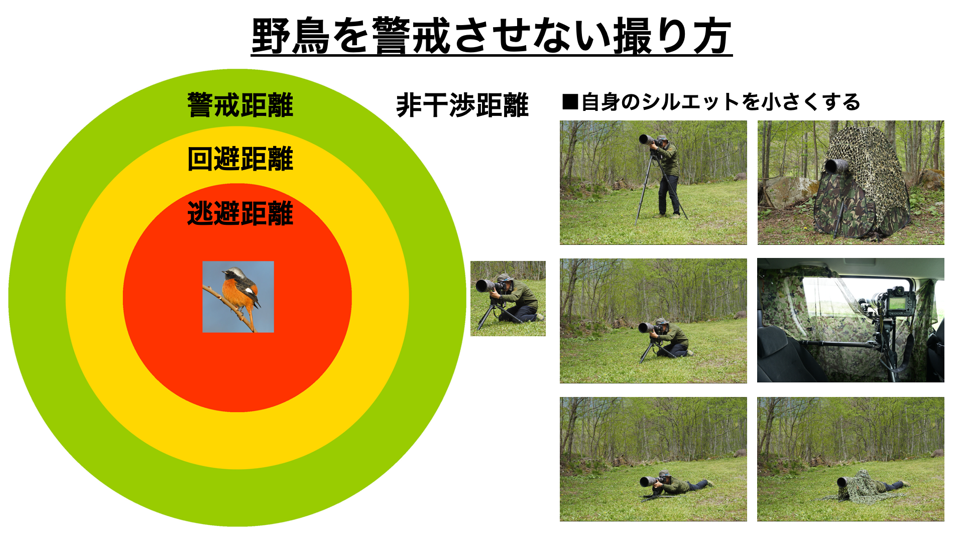 （中野さん作成の資料より）