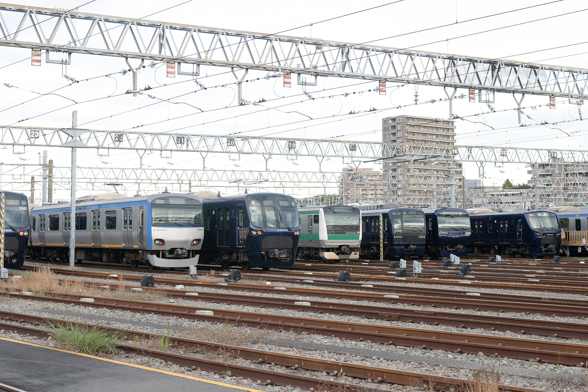 加工前のカット