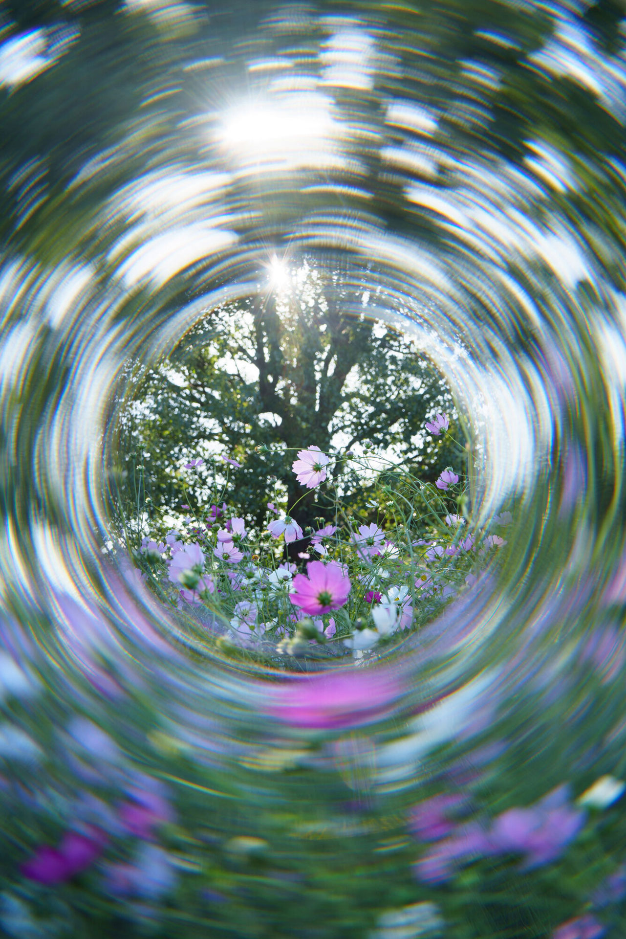 フィルター使用