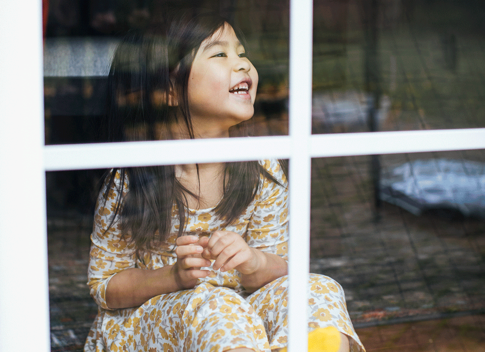 窓ガラスに映り込みを除去する新機能「Reflection Removal」の例