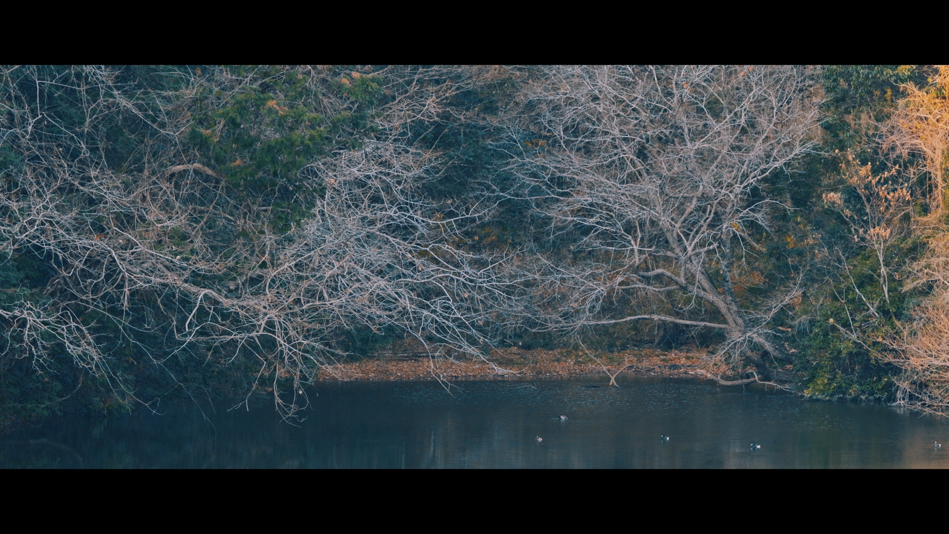 同じシーンを広角と望遠で撮影したシーン。望遠シーンは日陰の部分を、広角のシーンは全体のバランスをみて適正露出を決定している。