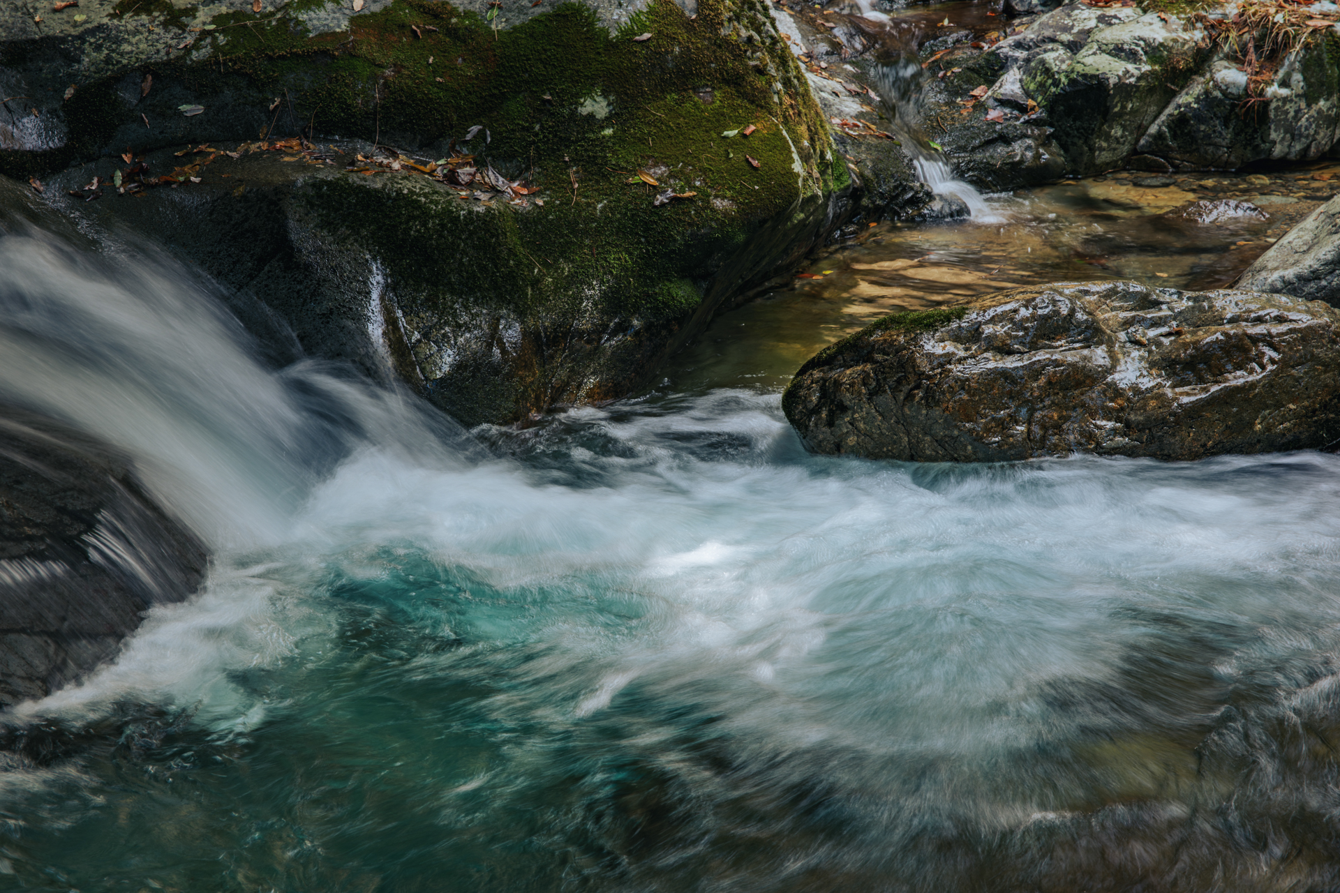 【撮影データ】パナソニック LUMIX S5 IIX／SIGMA 28-105mm F2.8 DG DN | Art／102mm／絞り優先AE（1/10秒、F11、−0.33EV）／ISO 100