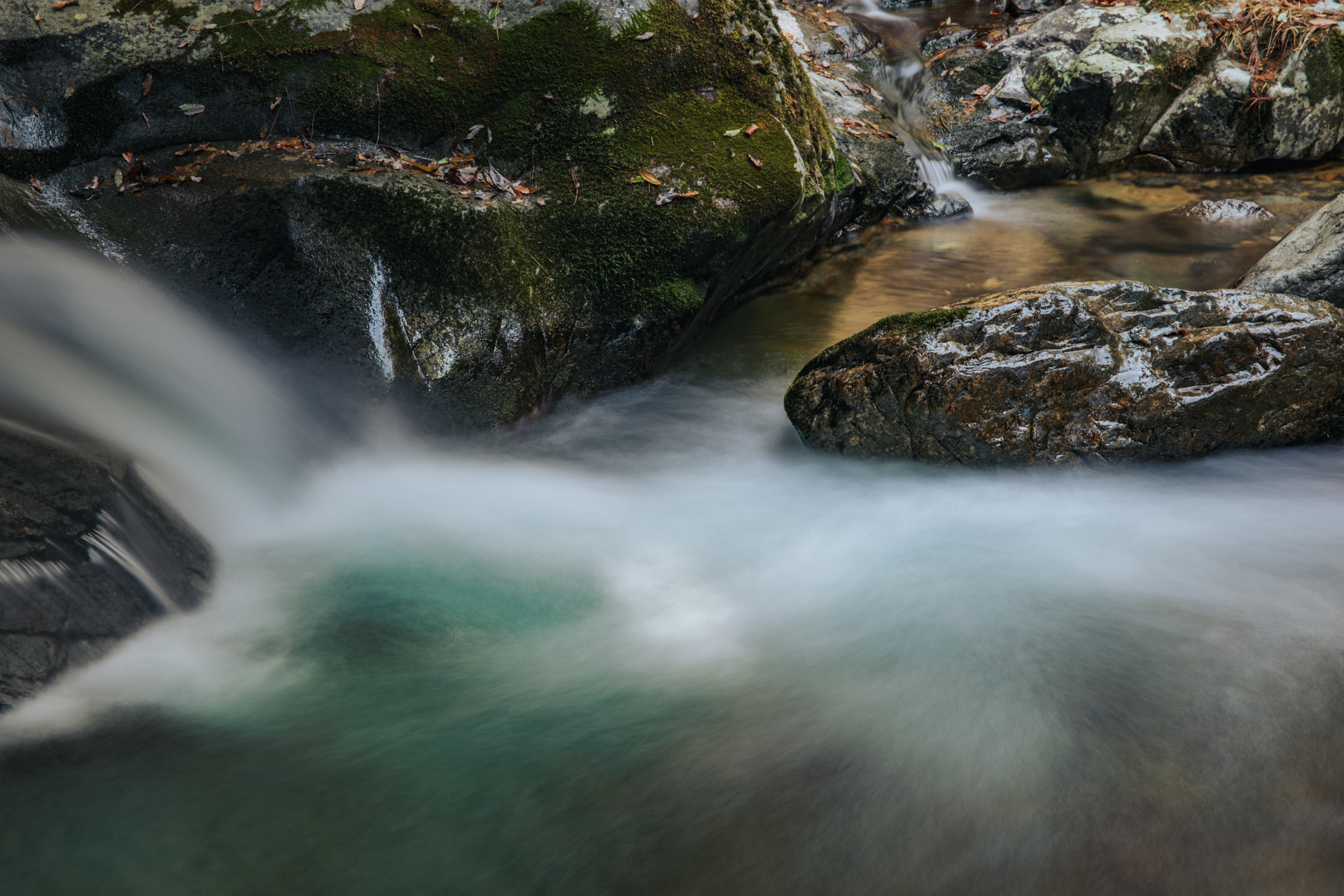 【撮影データ】同上
