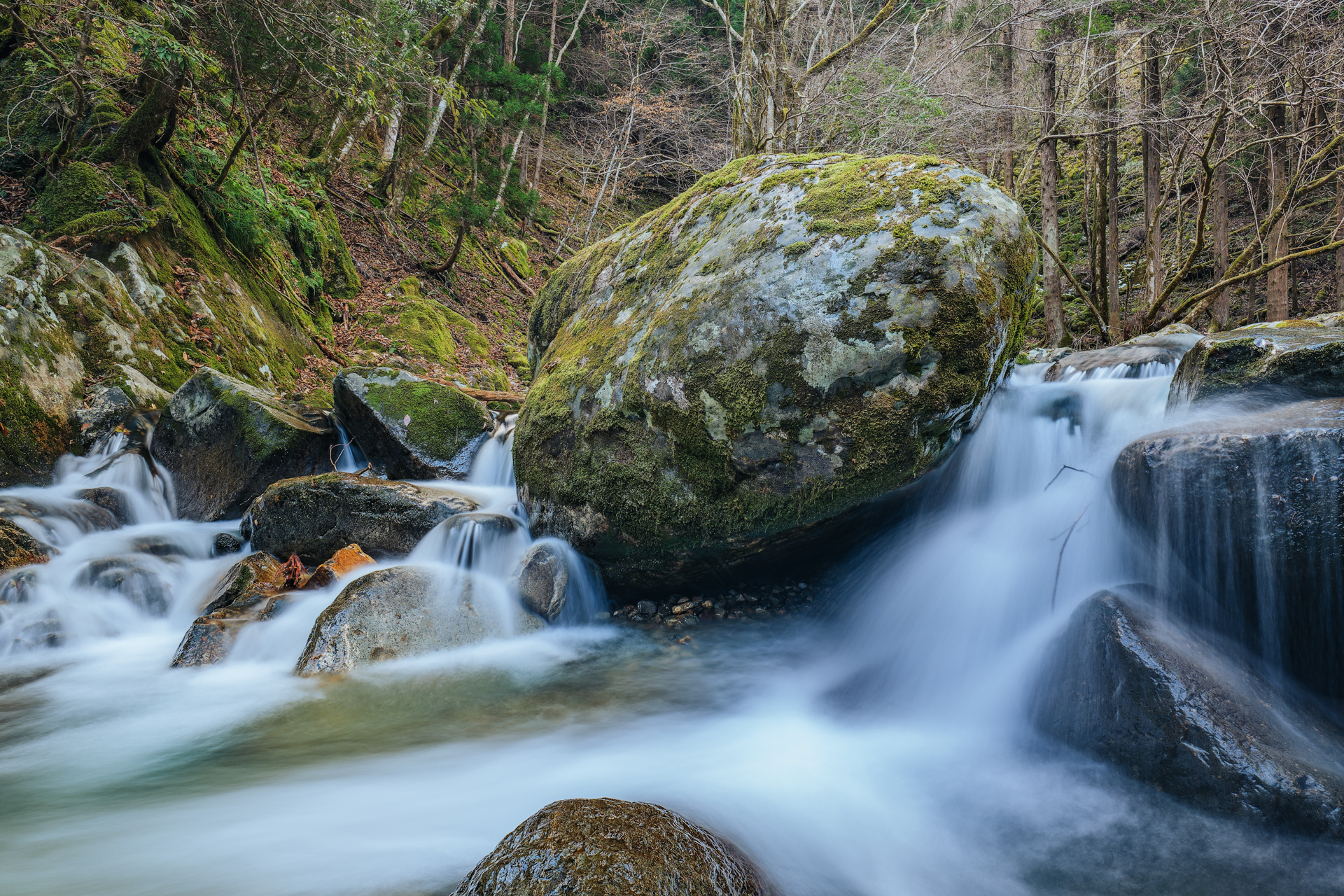 撮影：木村琢磨