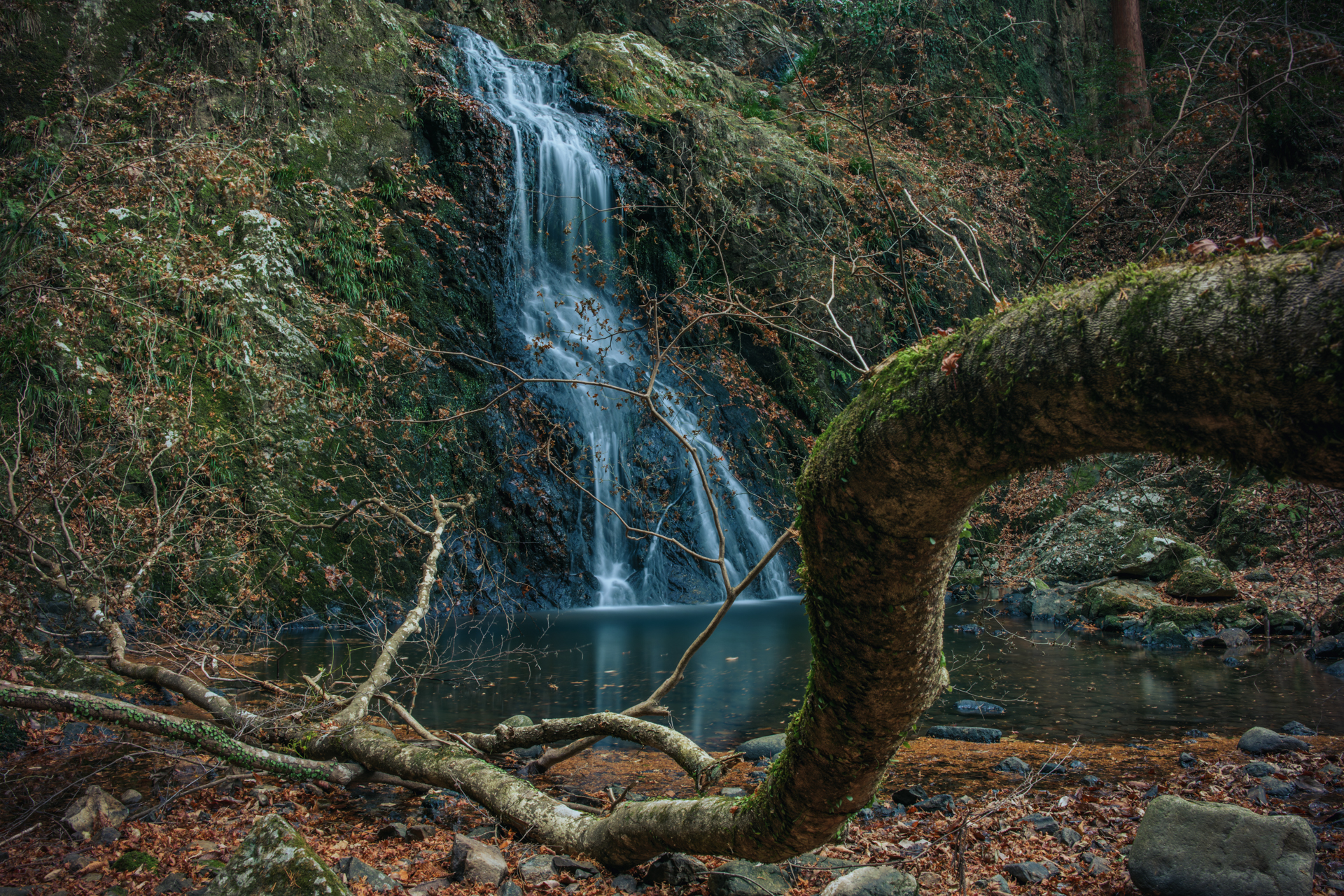 撮影：木村琢磨