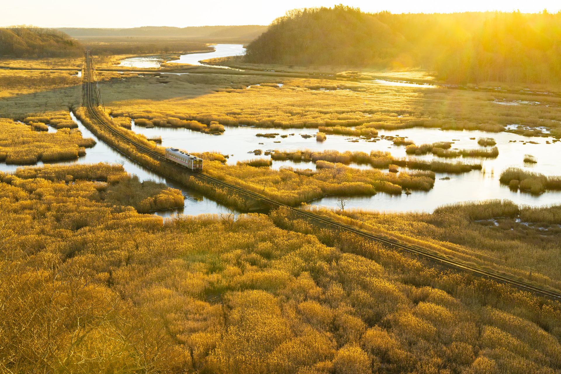 朝日に照らされる晩秋の湿原を1両の気動車が駆ける。50mm F1.4という仕様ゆえに開放時のボケが注目されがちだが、絞り込んだときの繊細かつ階調のバランスが取れた解像力も注目したい<br><span class="fnt-85">キヤノン EOS R5 Mark II／RF50mm F1.4 L VCM／50mm／マニュアル露出（F13、1/400秒）／ISO 1600／WB：オート</span>
