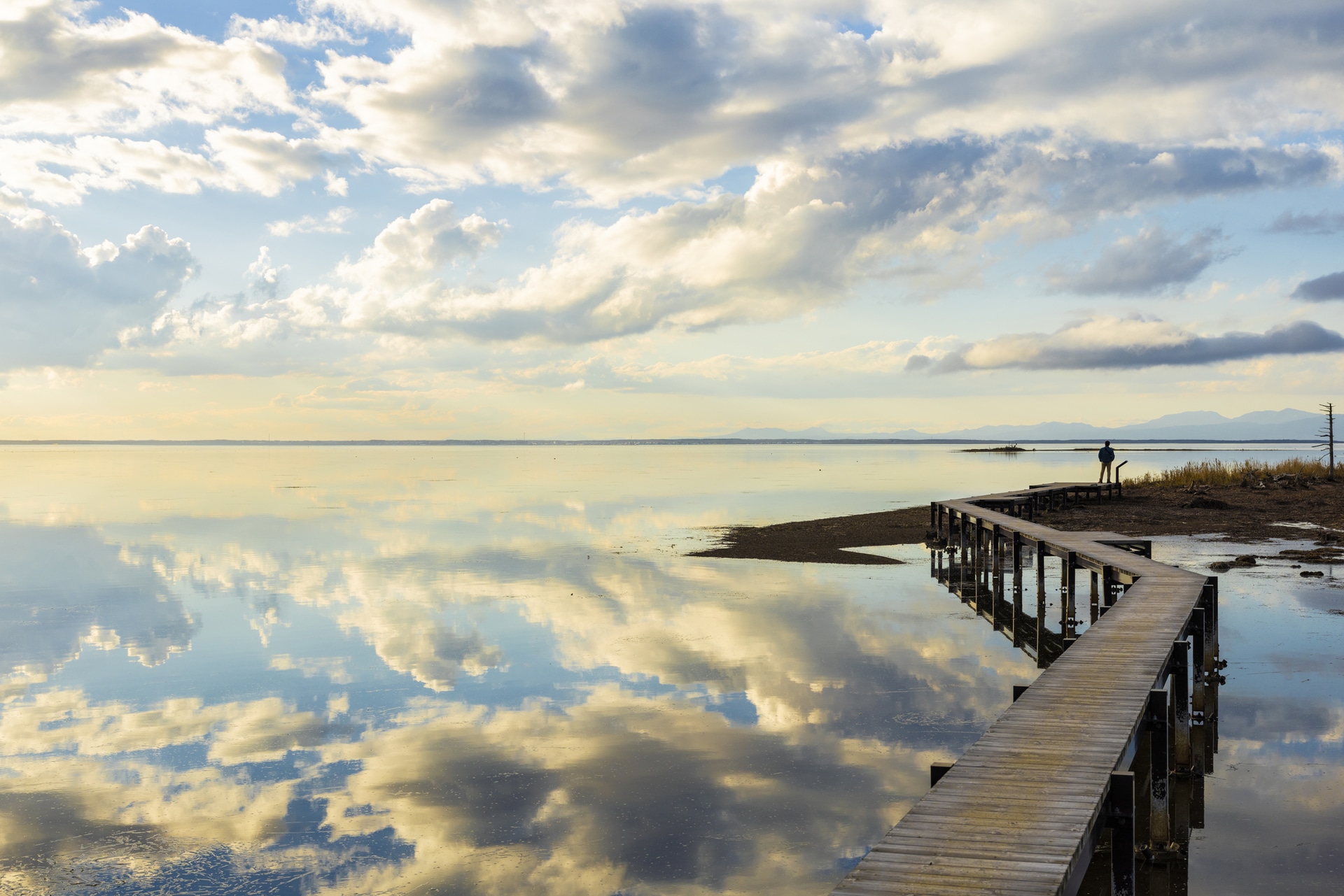 水面に映る空をベストな位置で撮影するため海に浮かぶ木道を右往左往。リフレクションによって水面が輝く1枚をF9と絞って撮影。雲の立体感ある仕上がりに、このレンズの持つ描写力を再確認した<br><span class="fnt-85">キヤノン EOS R5 Mark II／RF50mm F1.4 L VCM／50mm／マニュアル露出（F9、1/640秒）／ISO 250／WB：オート</span>
