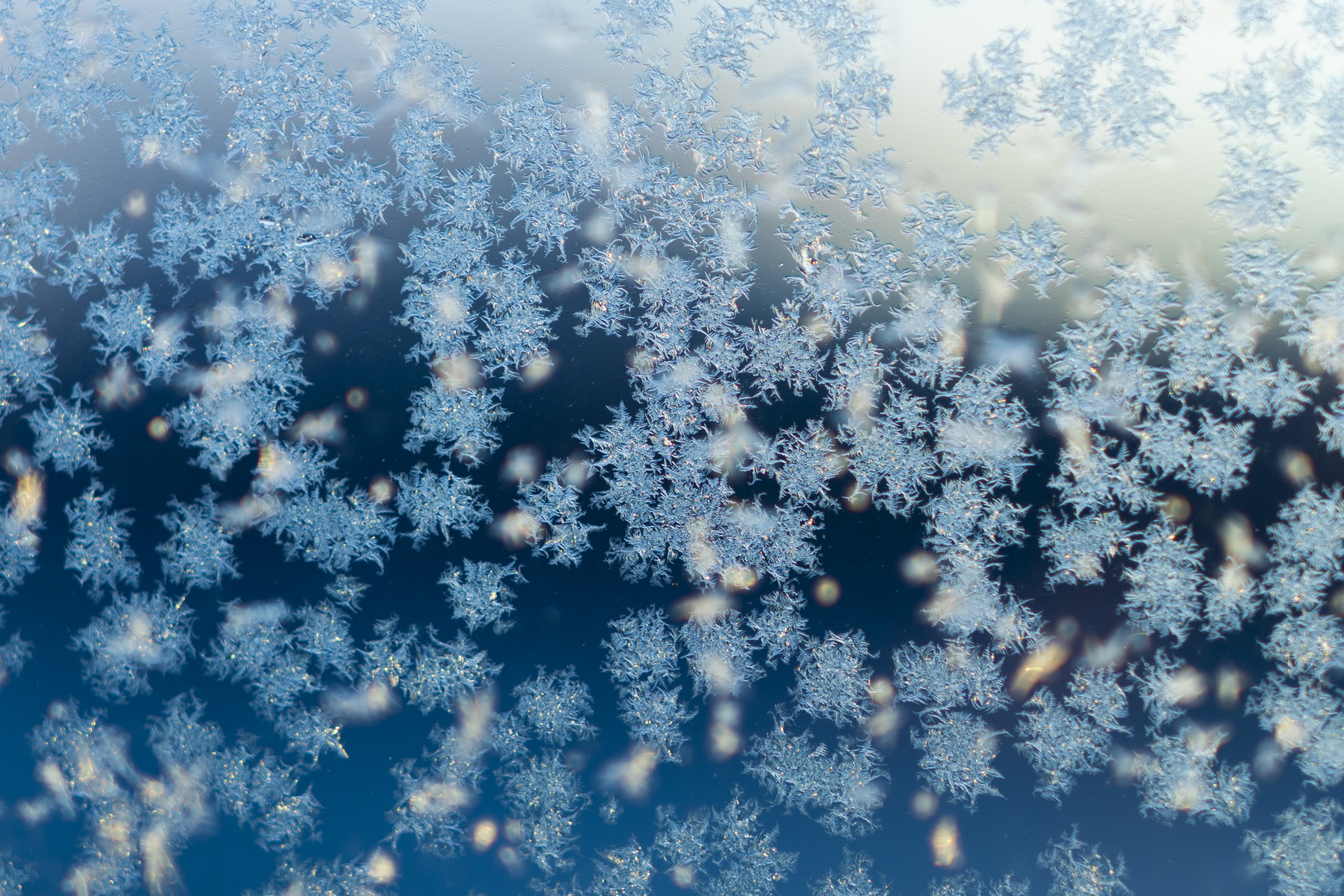 －8℃まで冷え込んだ北海道の朝は、すでに冬の装い。近接撮影時もしっかりと解像力が発揮され、ガラス窓にデザインされた無数の氷晶の1つ1つをこんなにも繊細に表現してくれた<br><span class="fnt-85">キヤノン EOS R5 Mark II／RF50mm F1.4 L VCM／50mm／マニュアル露出（F1.4、1/640秒）／ISO 50／WB：オート</span>