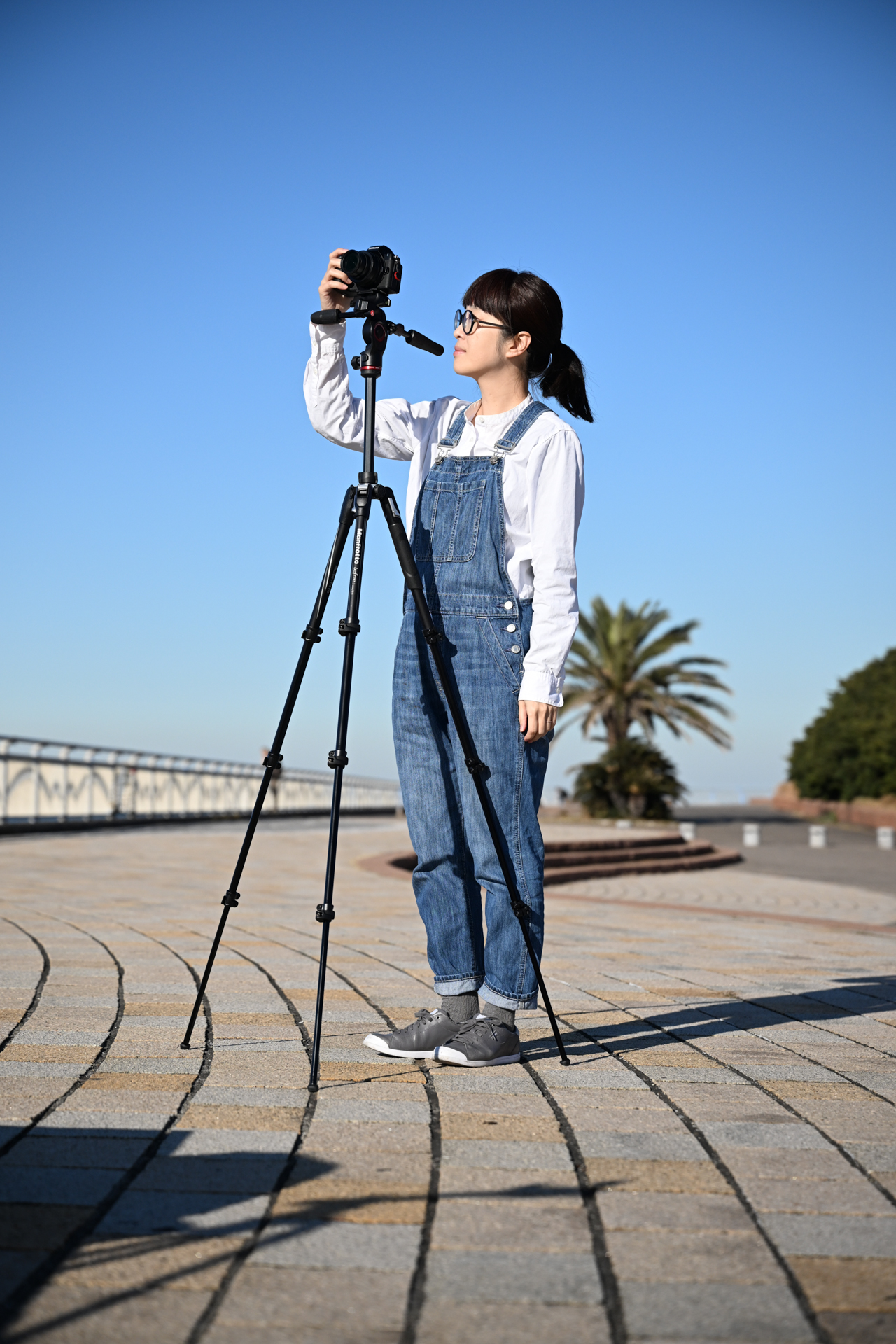 befree GT XPRO カーボンT三脚キット