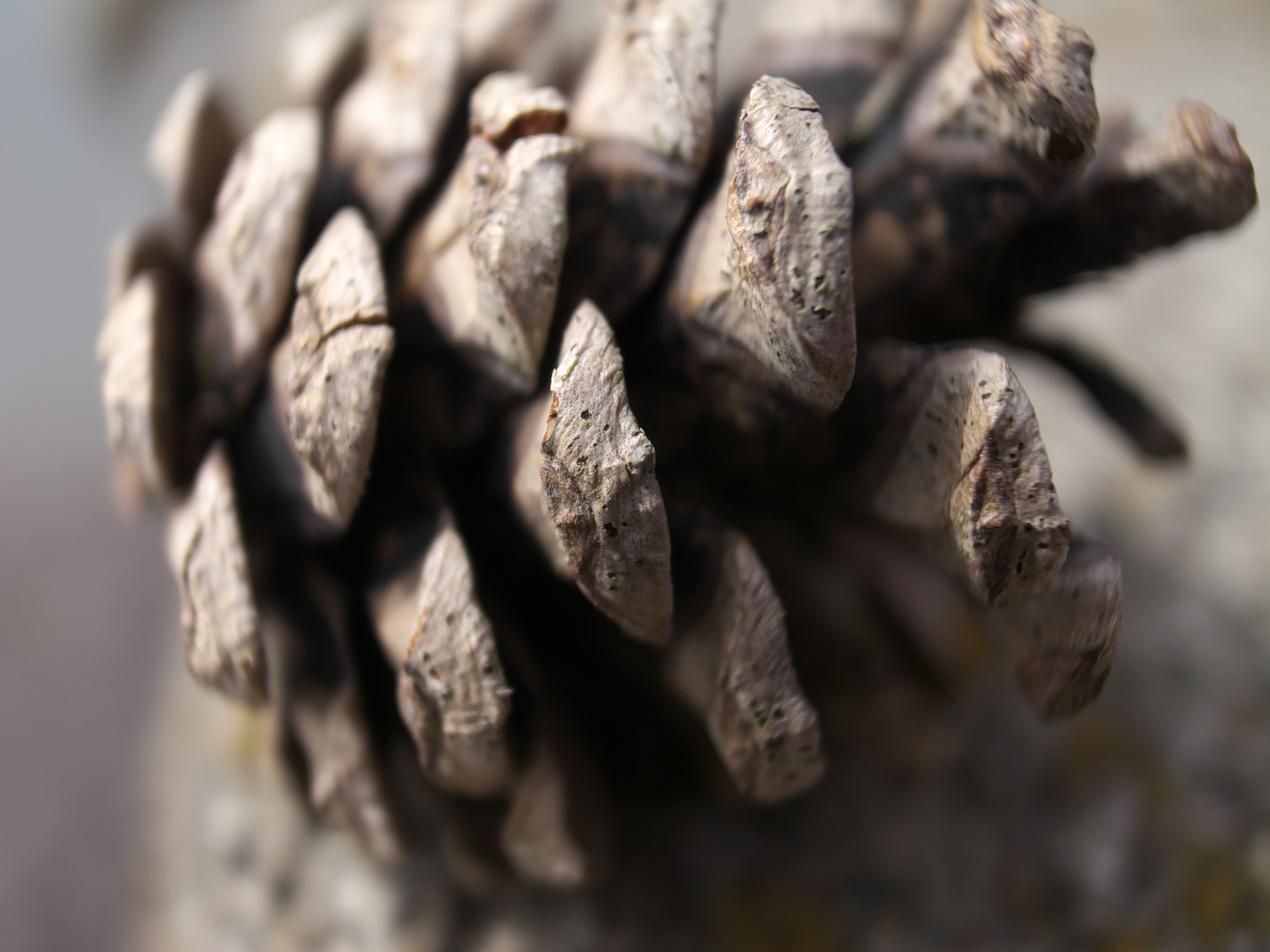 <span class="fnt-85">GR DIGITAL IV／6mm（28mm相当）／絞り優先AE（1/1,150秒、F1.9、−0.7EV）／ISO 100</span>